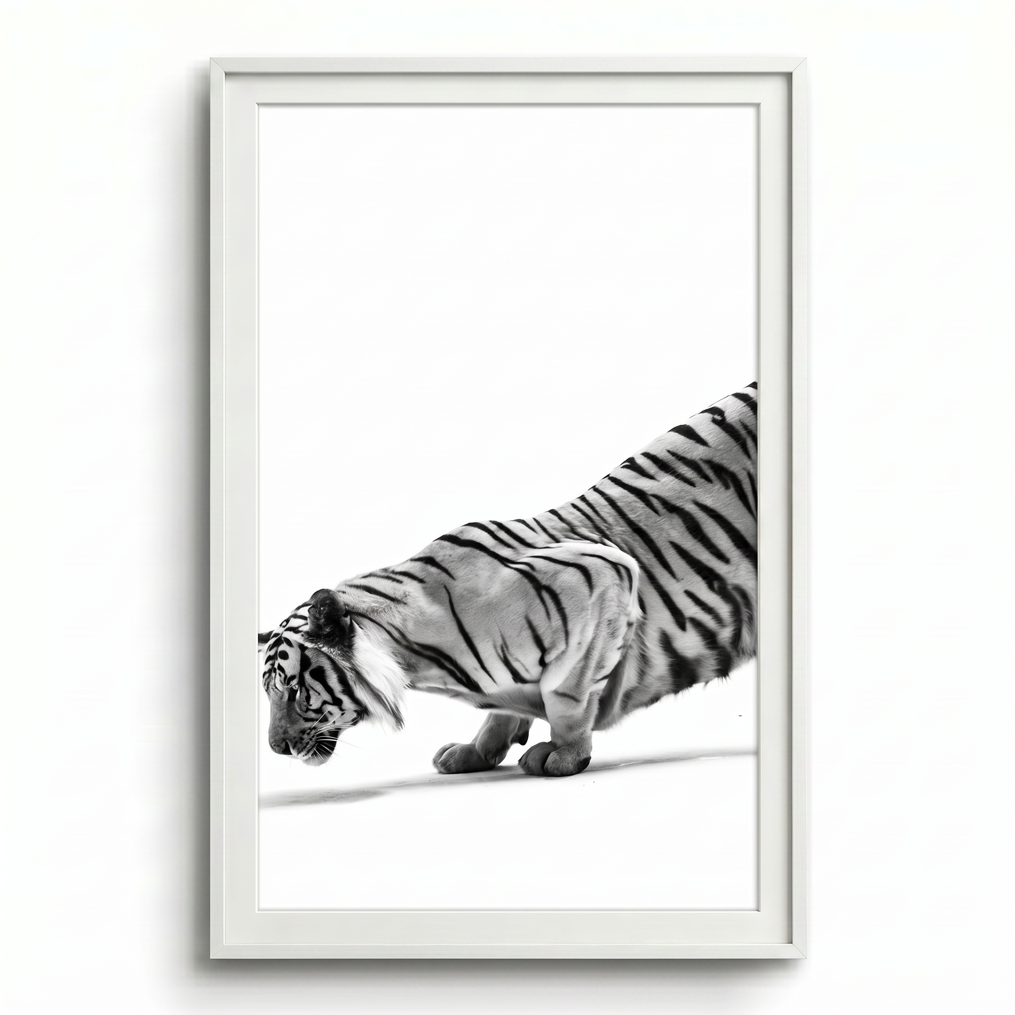 tigre inclinata white frame.png
