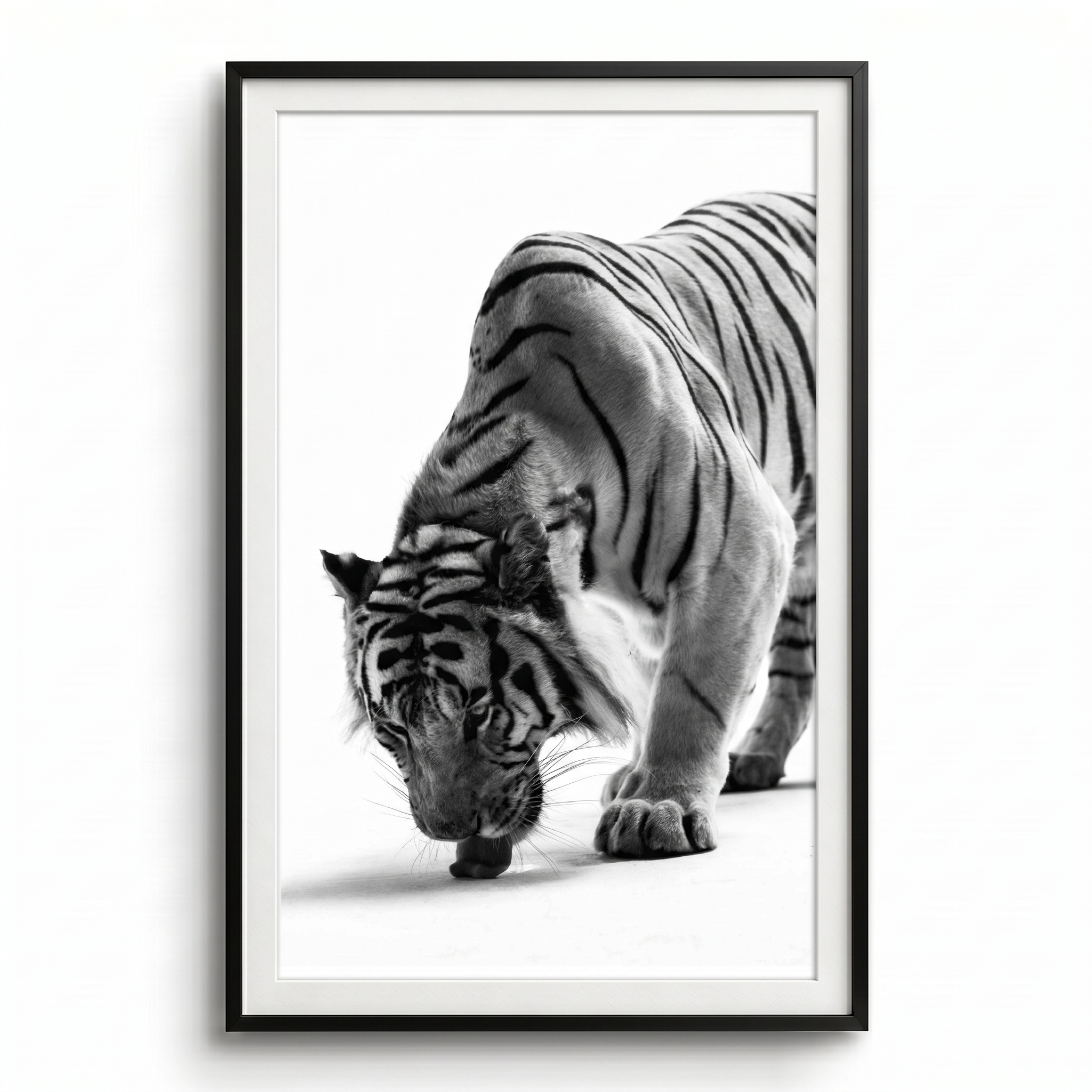 tigre leccata black frame.png