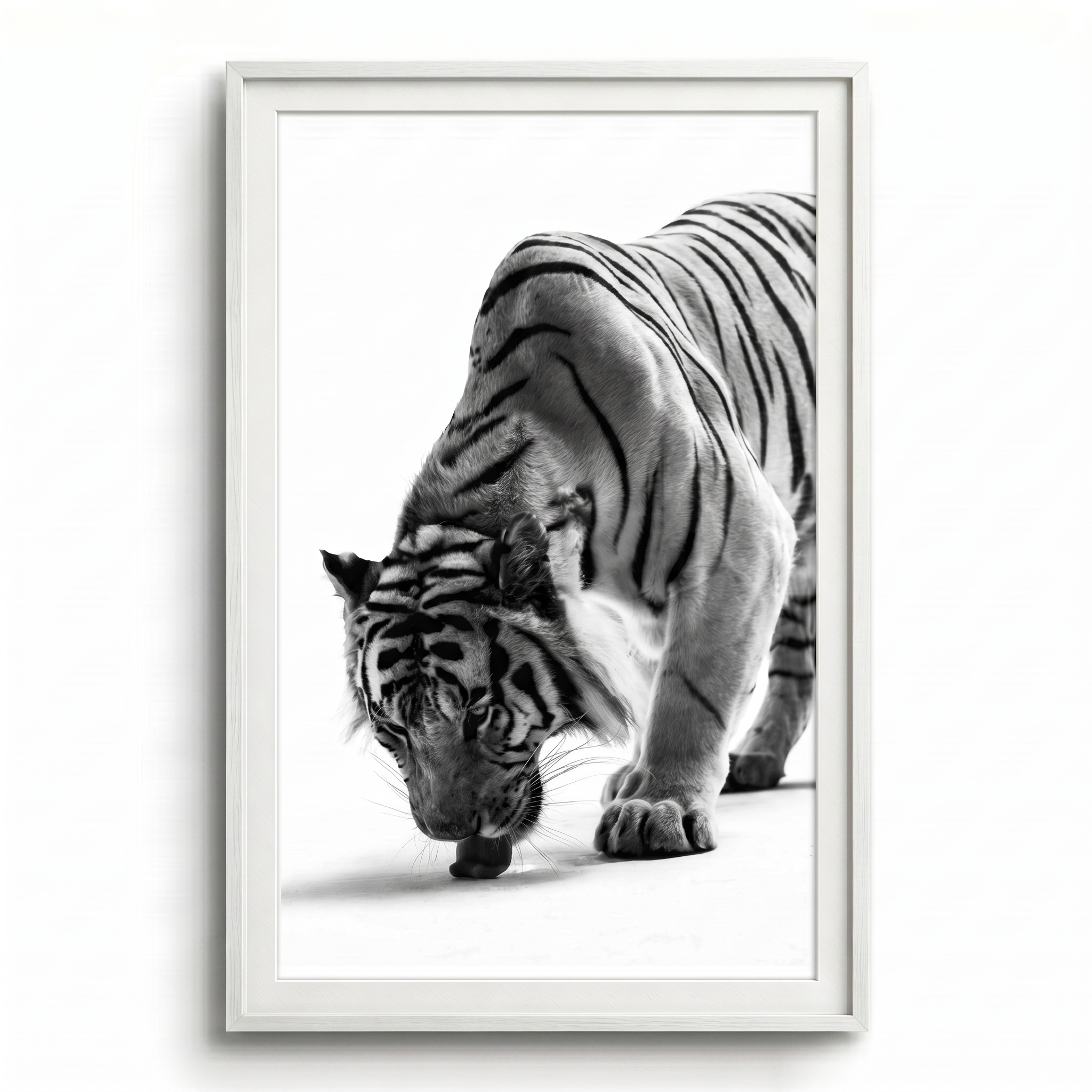 tigre leccata white frame.png