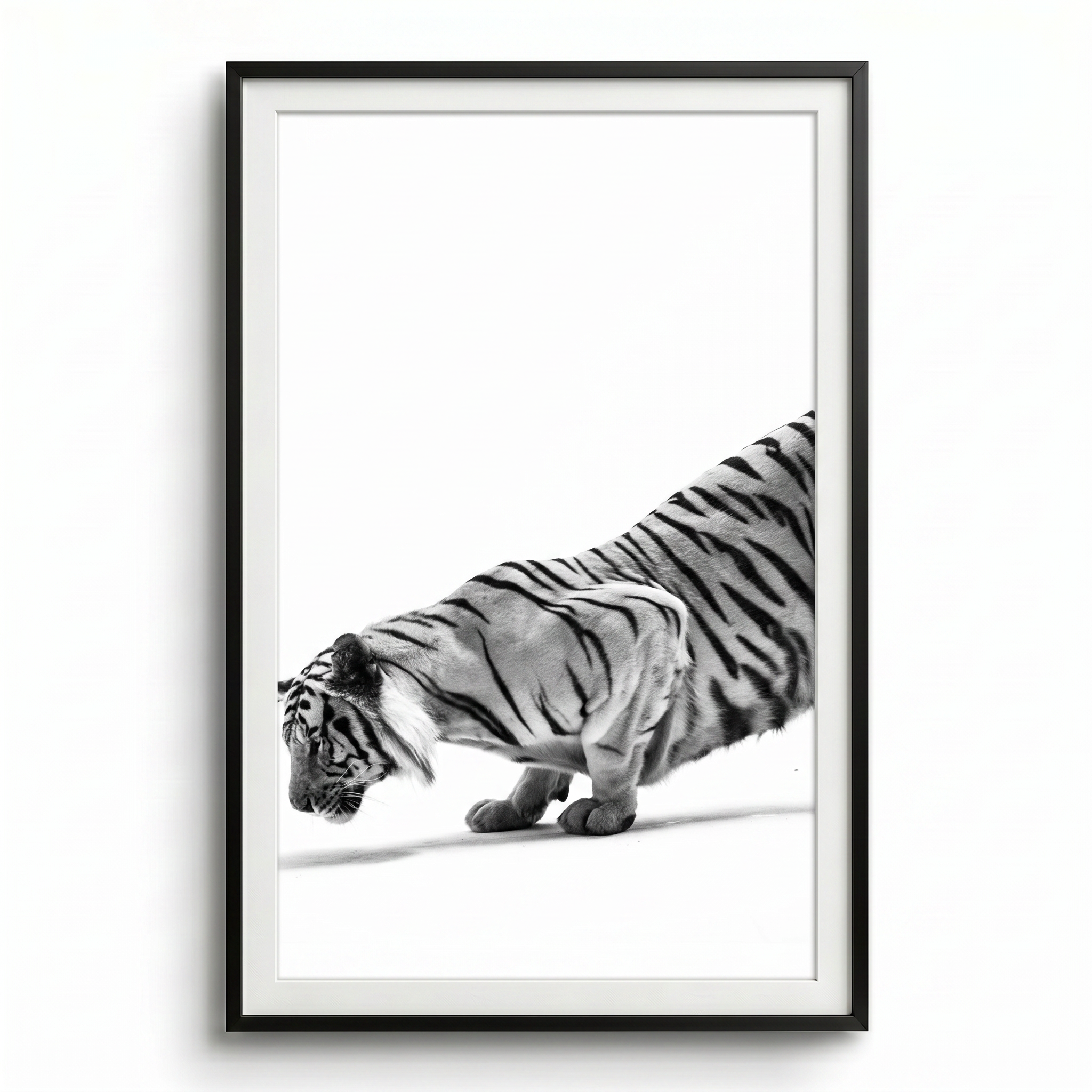 tigre inclinata black frame.png