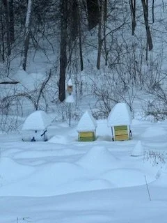 Winter Watch: March 12th, 2026