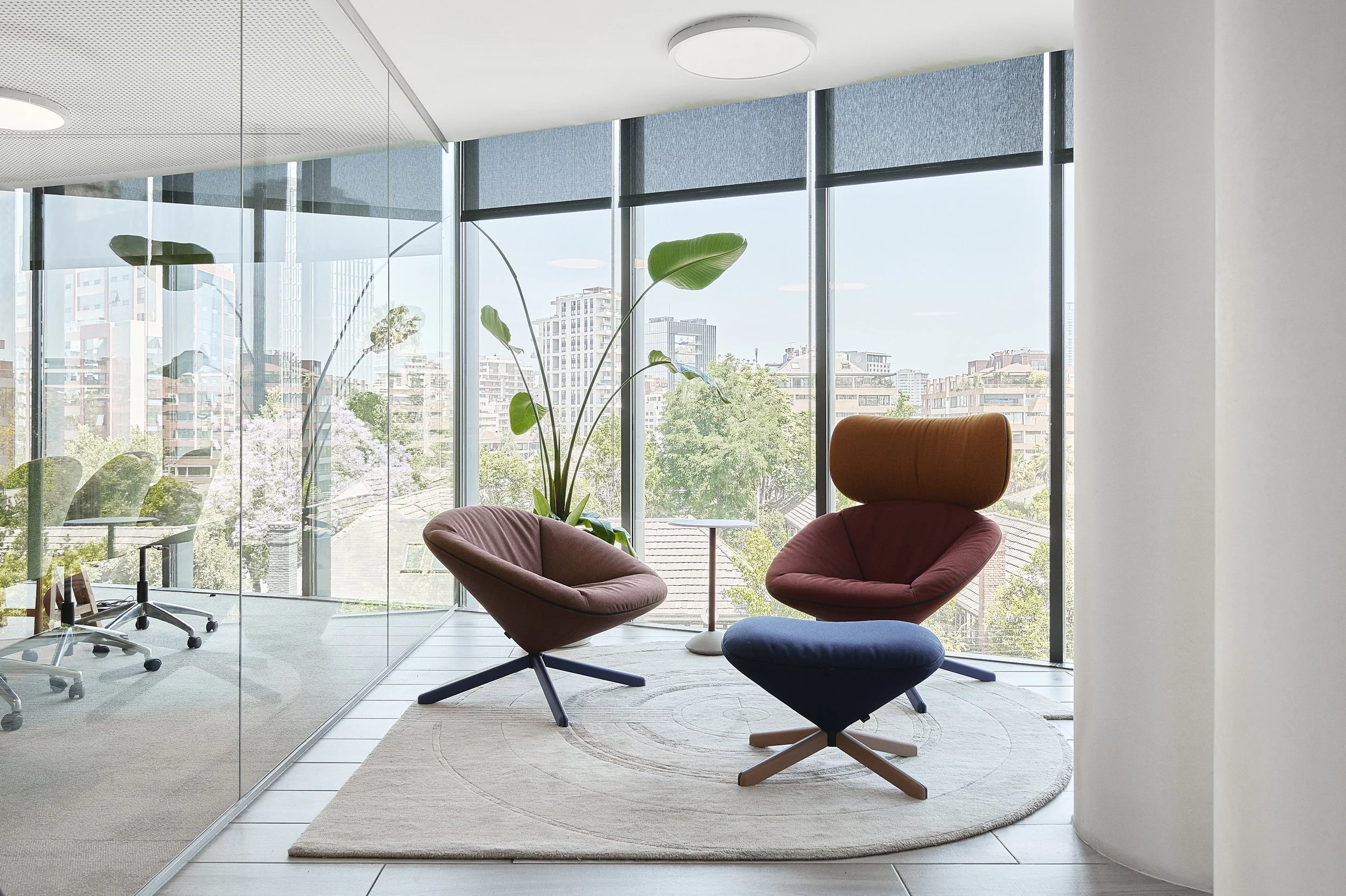 OFICINAS FELICES - CARLOS MOLINA @GRIMPET DSC_1257.jpg