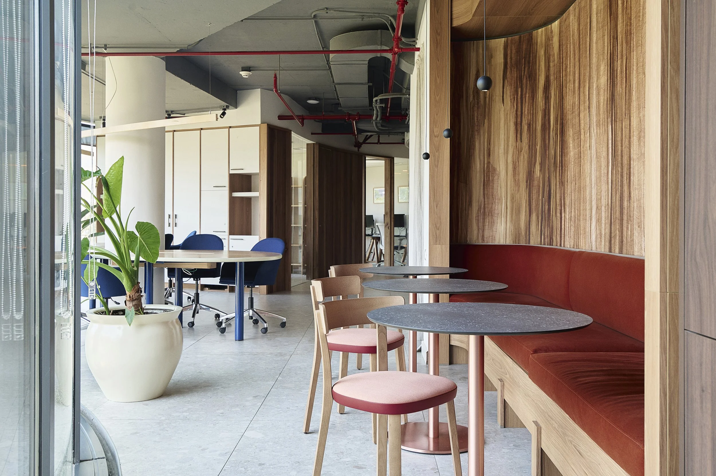 OFICINAS FELICES - CARLOS MOLINA @GRIMPET _DSC0674.jpg