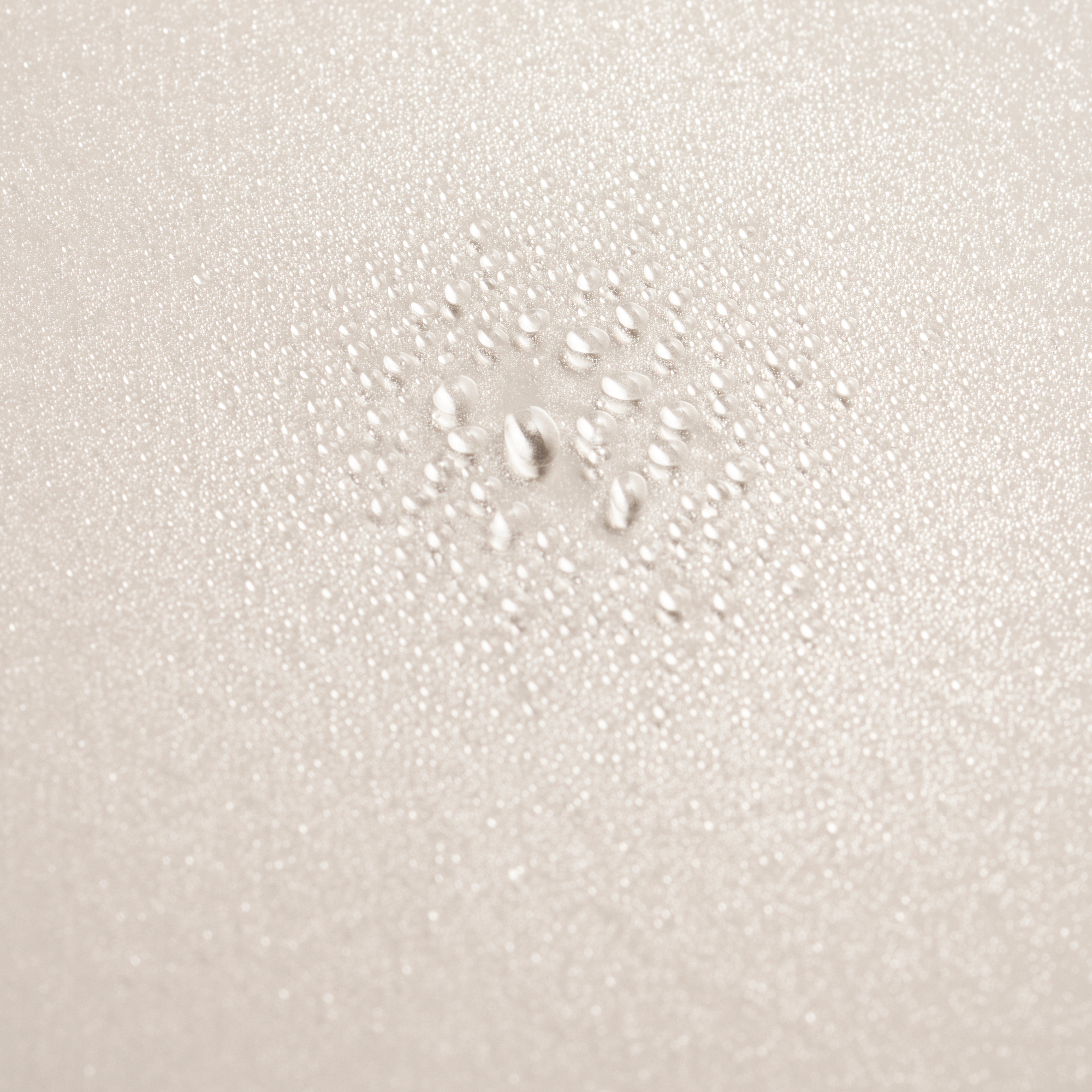 840035231341_6.png
