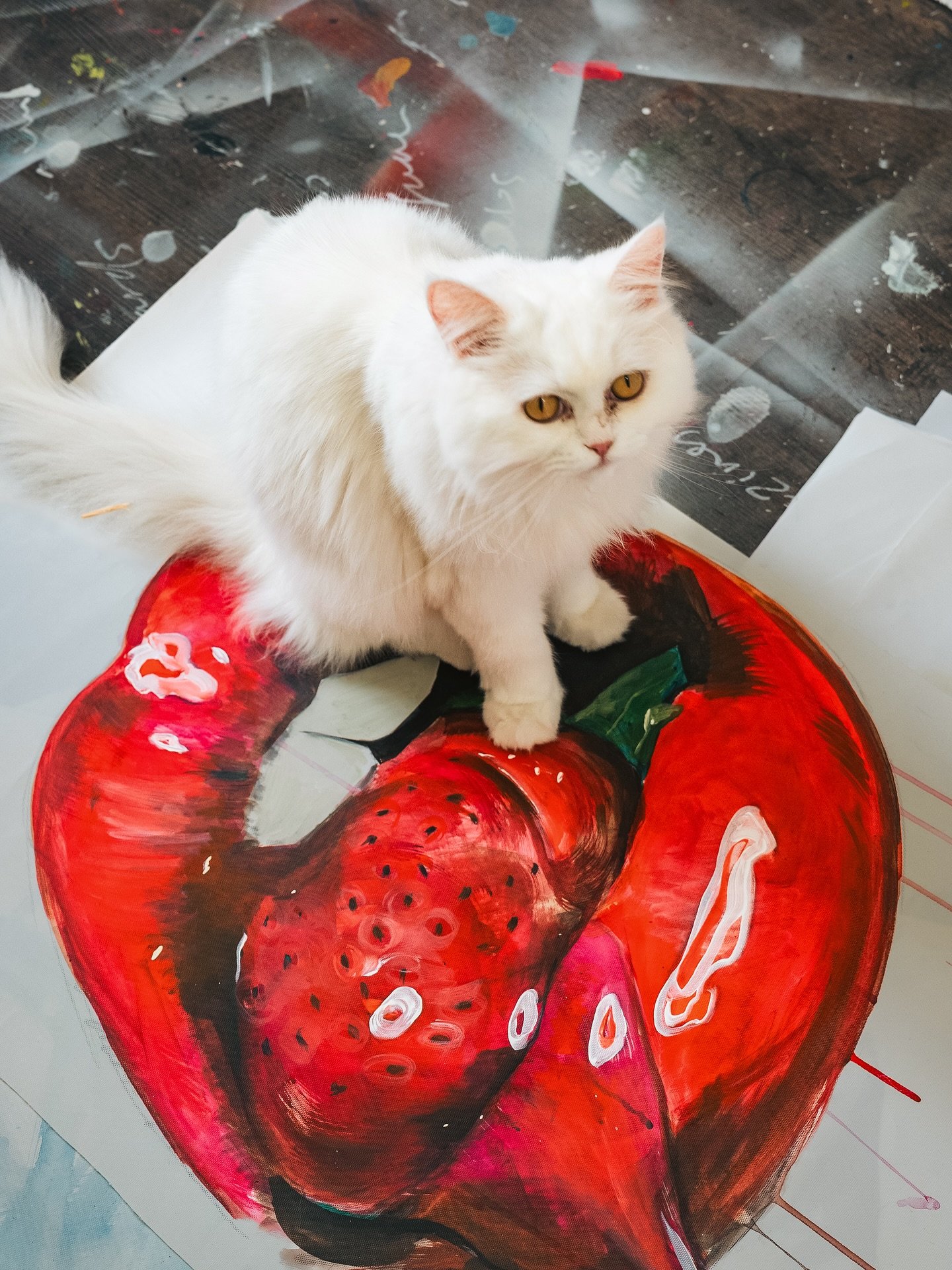 An ode to my furry assistants (and occasional saboteurs)

My studio wouldn&rsquo;t be the same without these chaotic little balls of fluff.

They knock over brushes, attack my hands mid-stroke, and leave tiny, colourful paw prints on anything vaguely