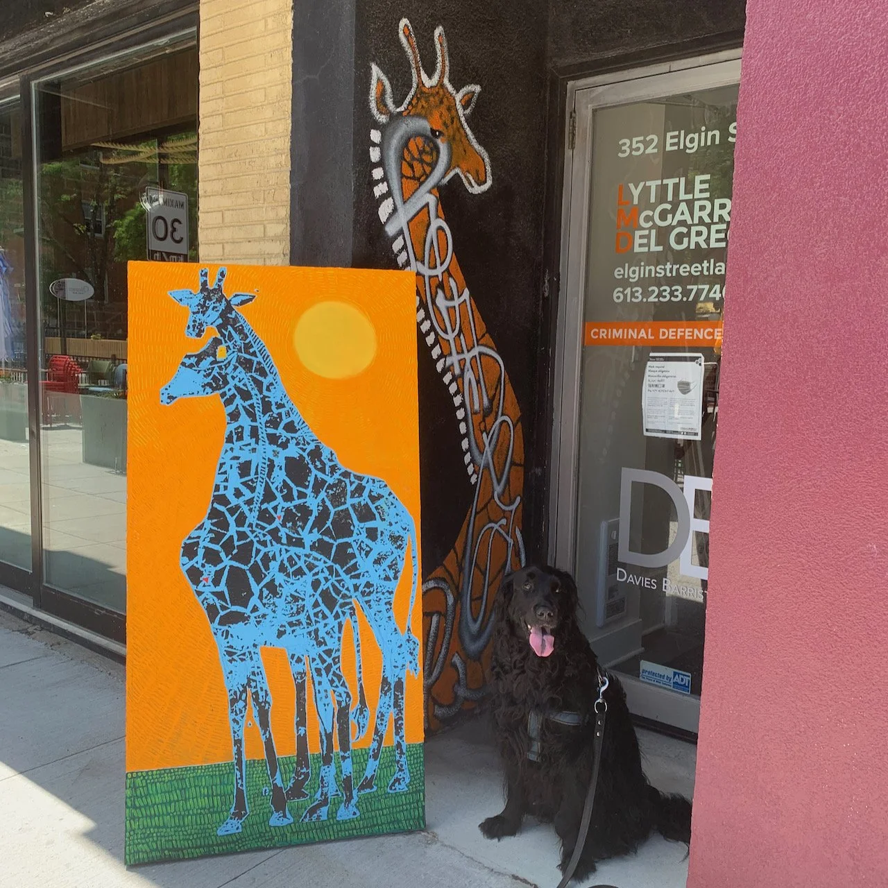 2021_family reunion on Elgin st..jpeg