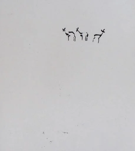 2017_deer_ink on paper.jpg