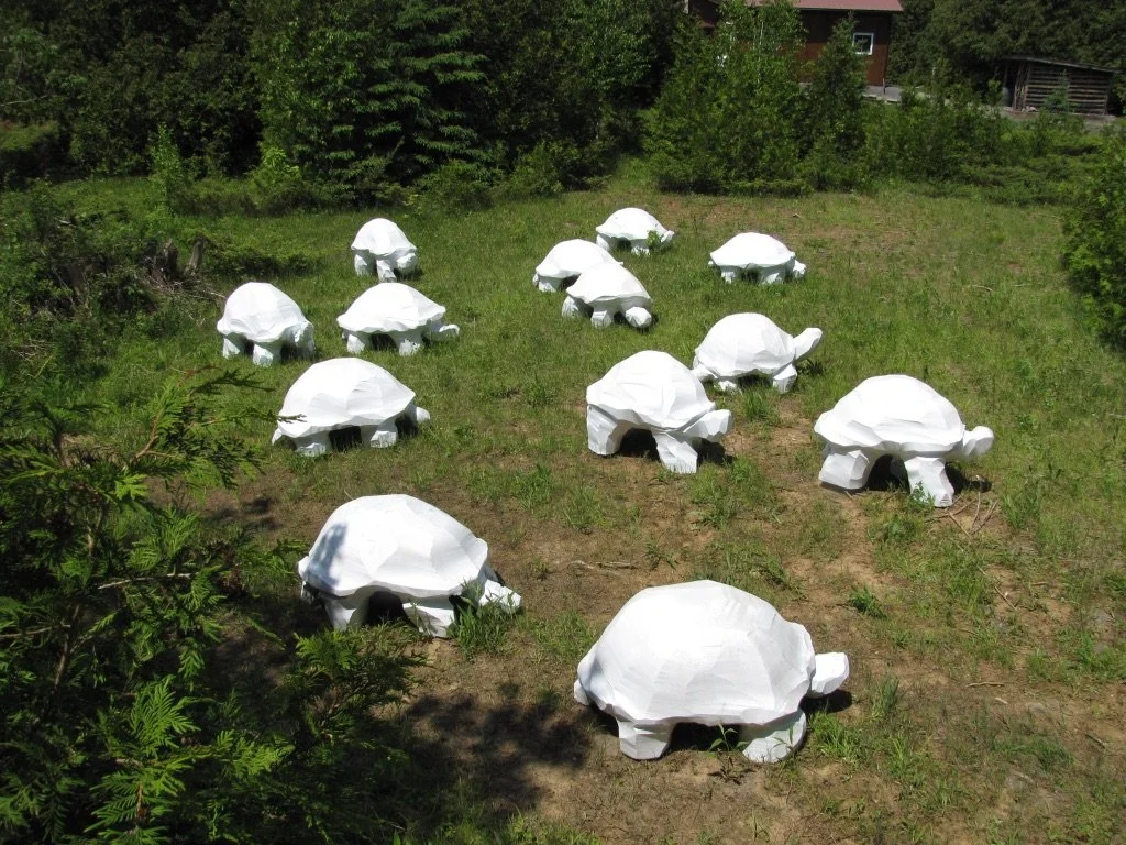Bale of Turtles for Beaverbrook Library.jpeg