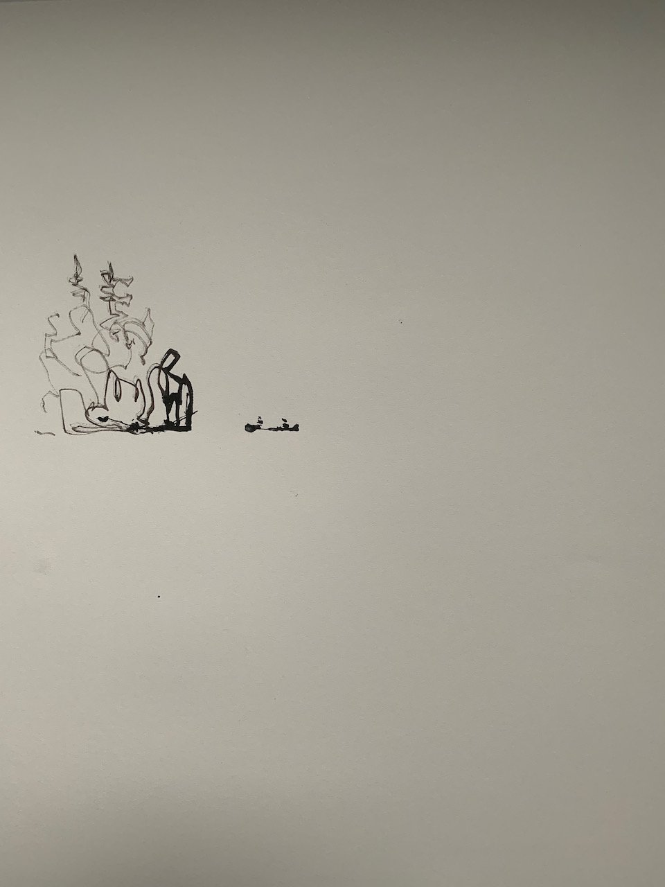 2021_ink on paper_Cameron Lake.jpeg