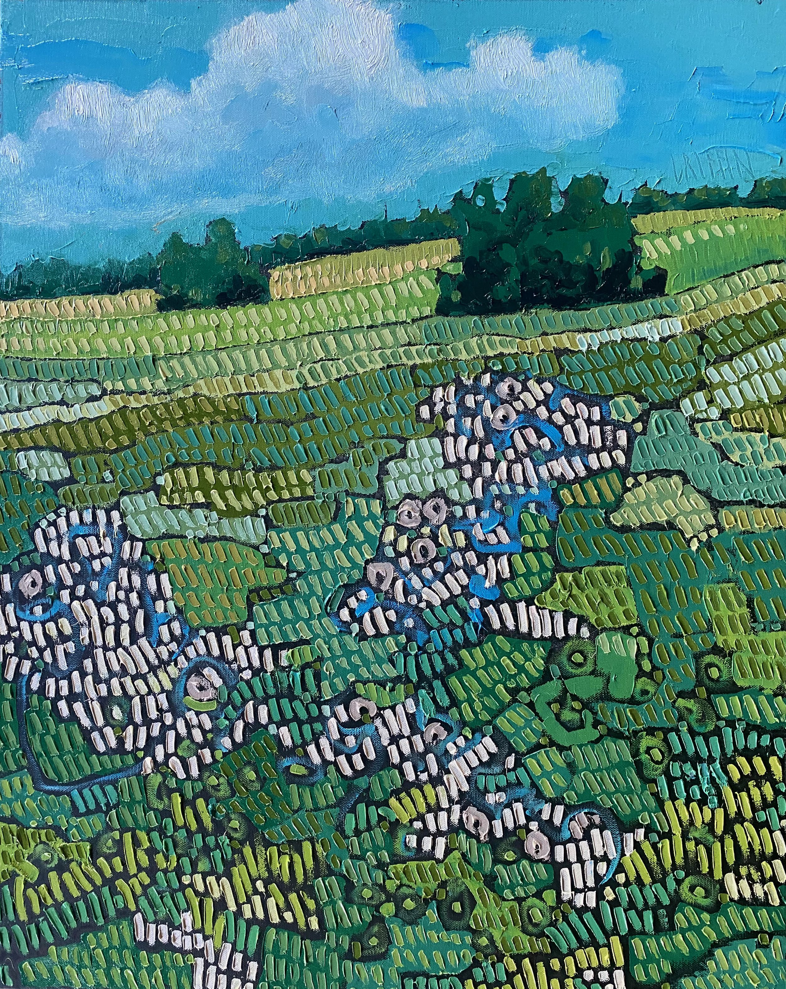 island fields 30x24.jpeg