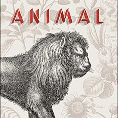 animal.jpg