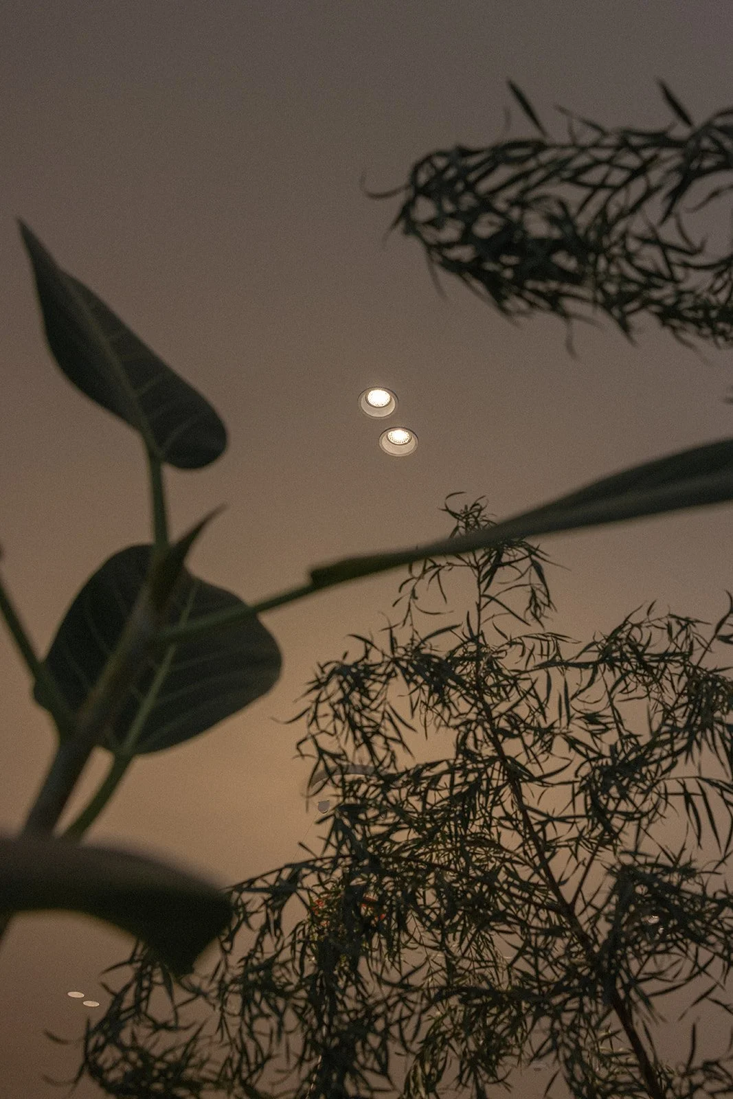 2024-02-27 Flexa-31_websize.jpg