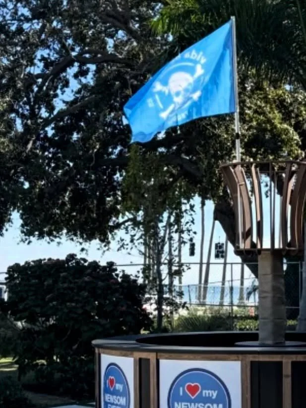 Raise the flag, pour the tequila. 
Vida de Louie flying high on Bayshore for Gasparilla&mdash;where pirates sip in style. #ispyvidadelouie #gasparilla