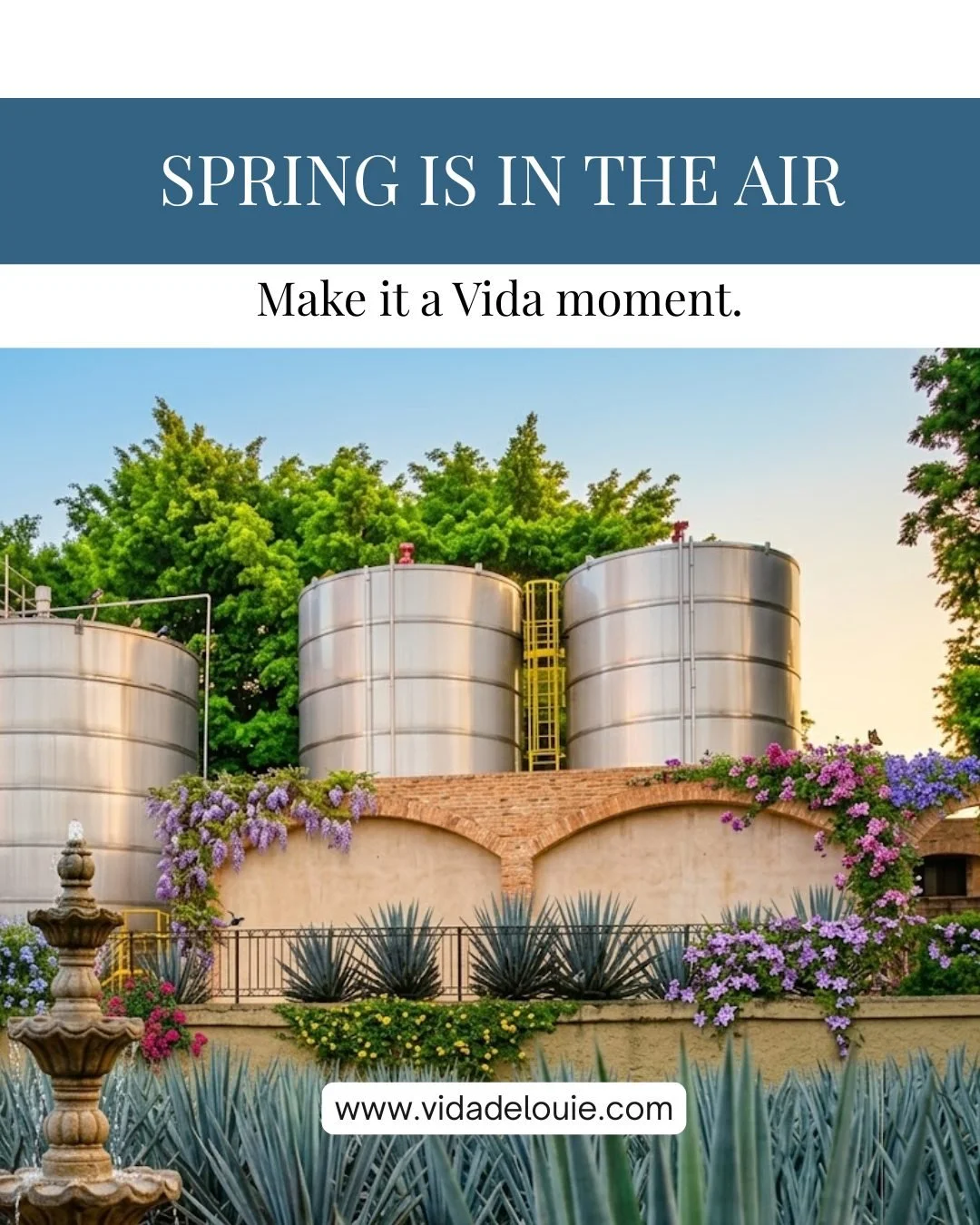 Longer days, warmer nights, and cocktails that hit just right. 🍹

Whether it&rsquo;s a fresh margarita, a bright paloma, or something simple over ice: vida de louie is made for the season.

Smooth, clean, and additive free&hellip; just how spring sh