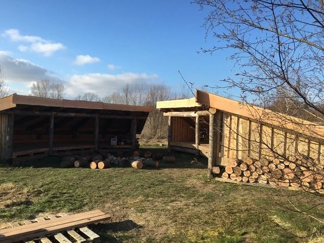 Stephen Mortensen shelter 4.jpeg