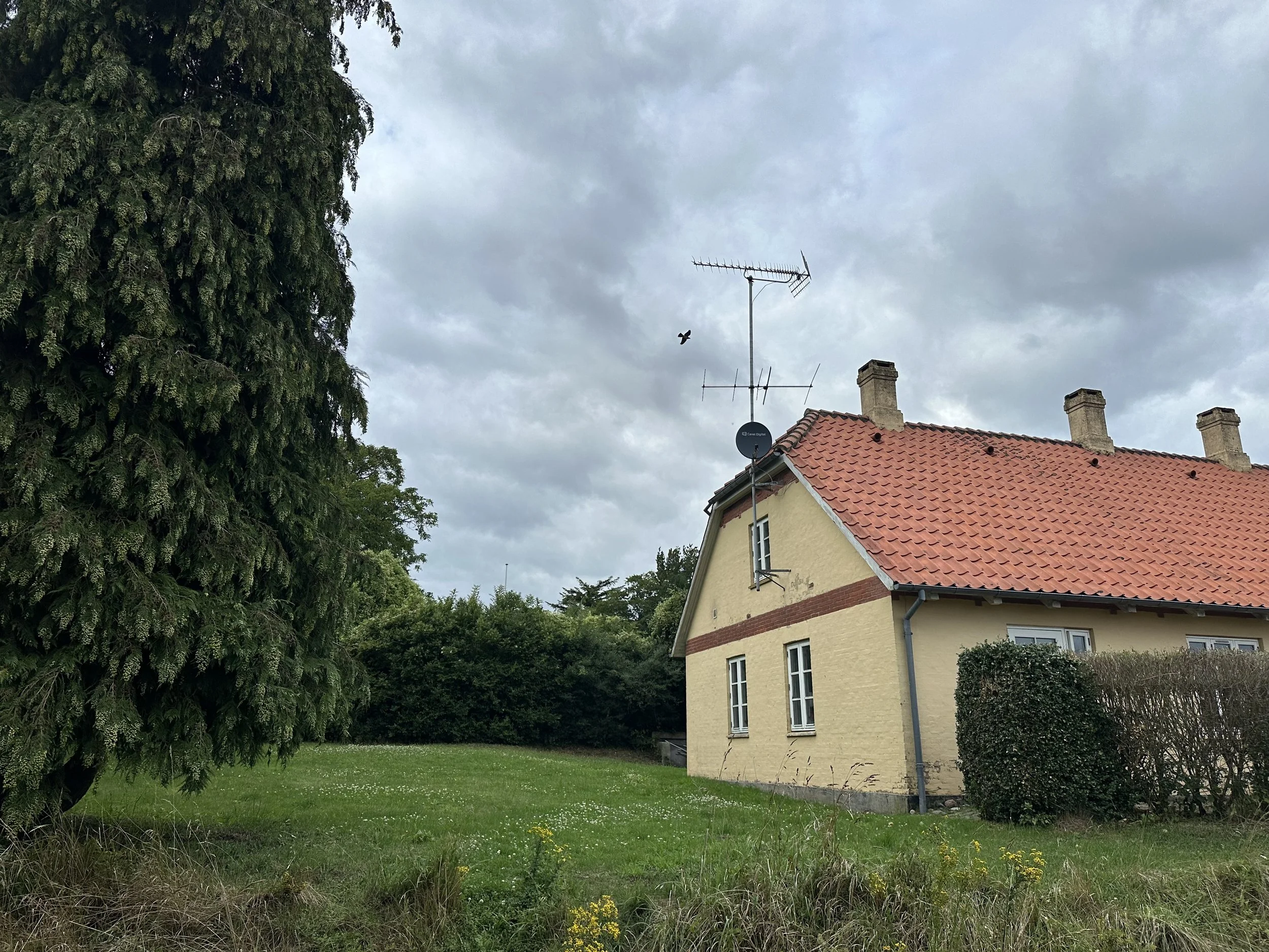 Solhuset-Tranekaer-Langeland-4.jpeg