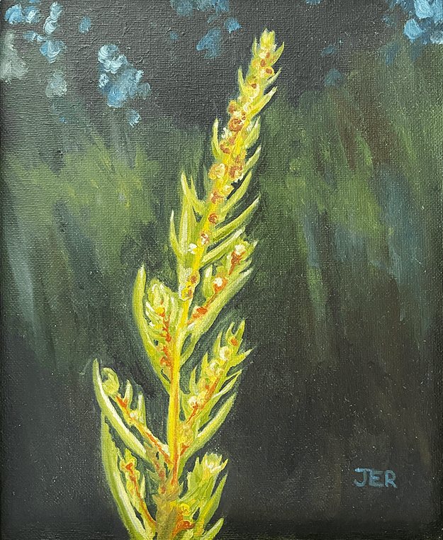 plant 3.png