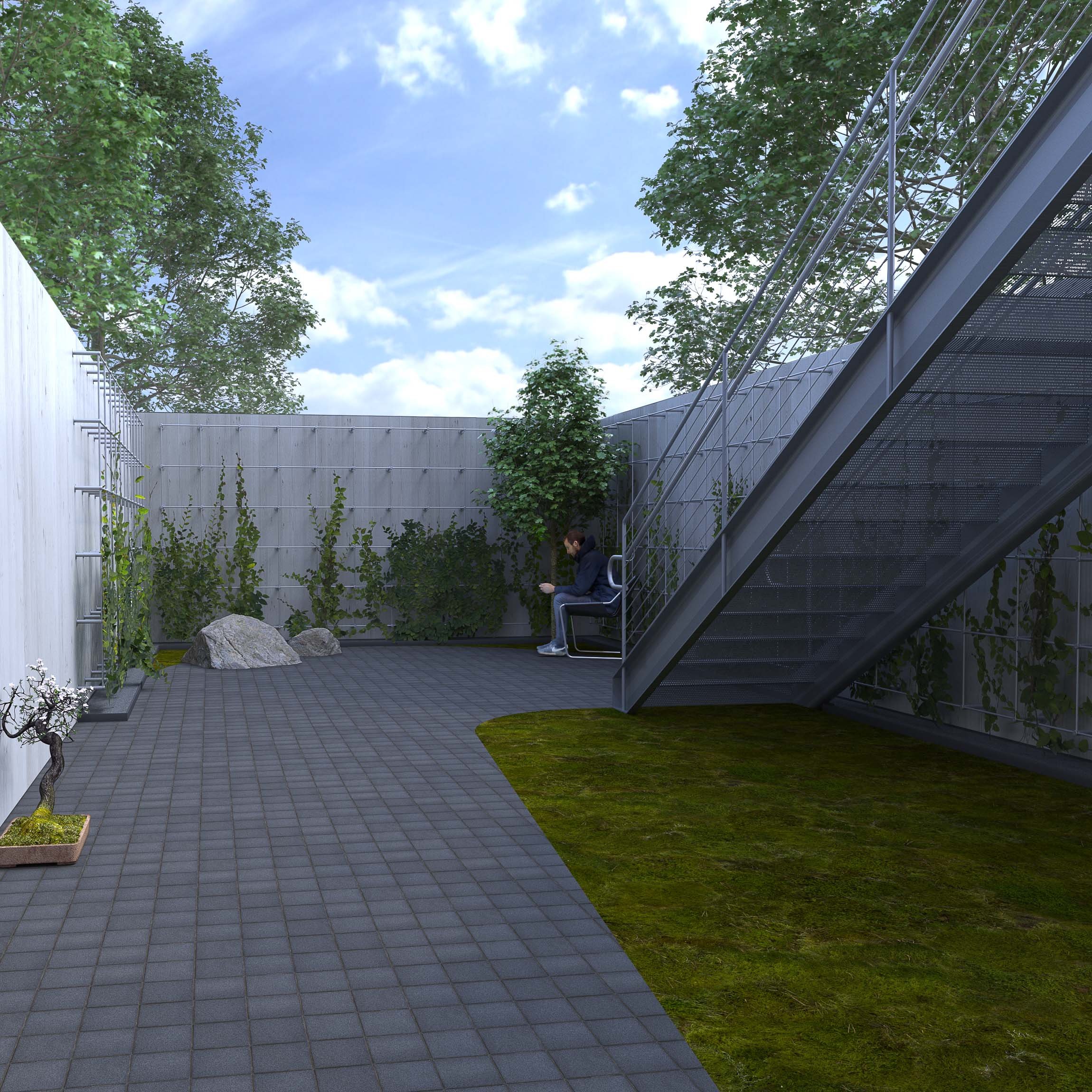 Rear Yard FIN copy.jpg