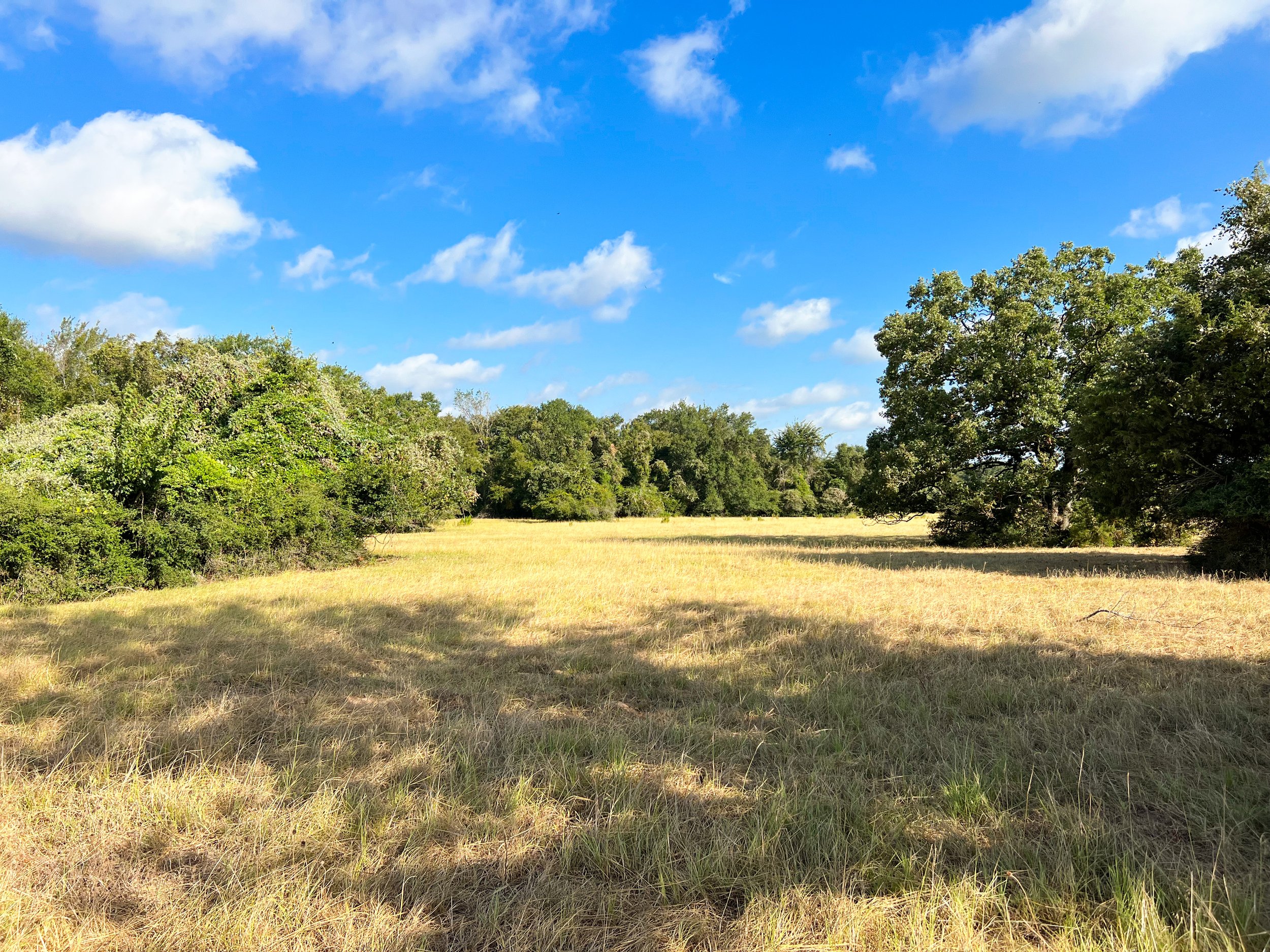 View current listings red barn realty