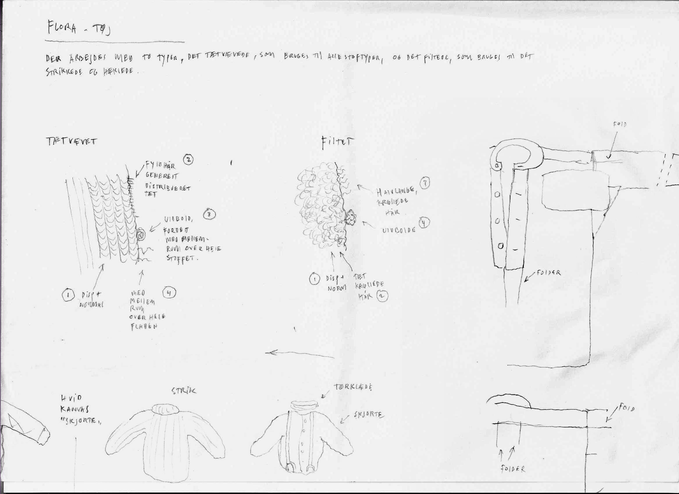flora_illustration_6.jpg
