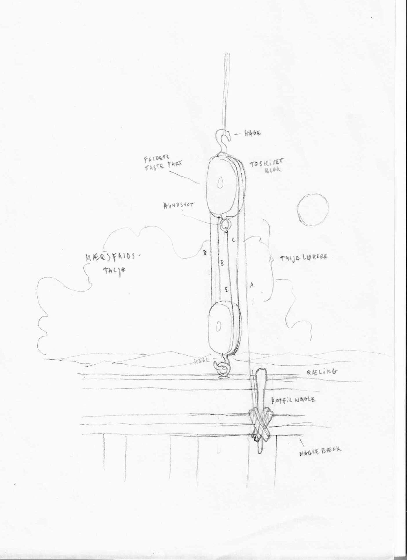 flora_illustration_9.jpg