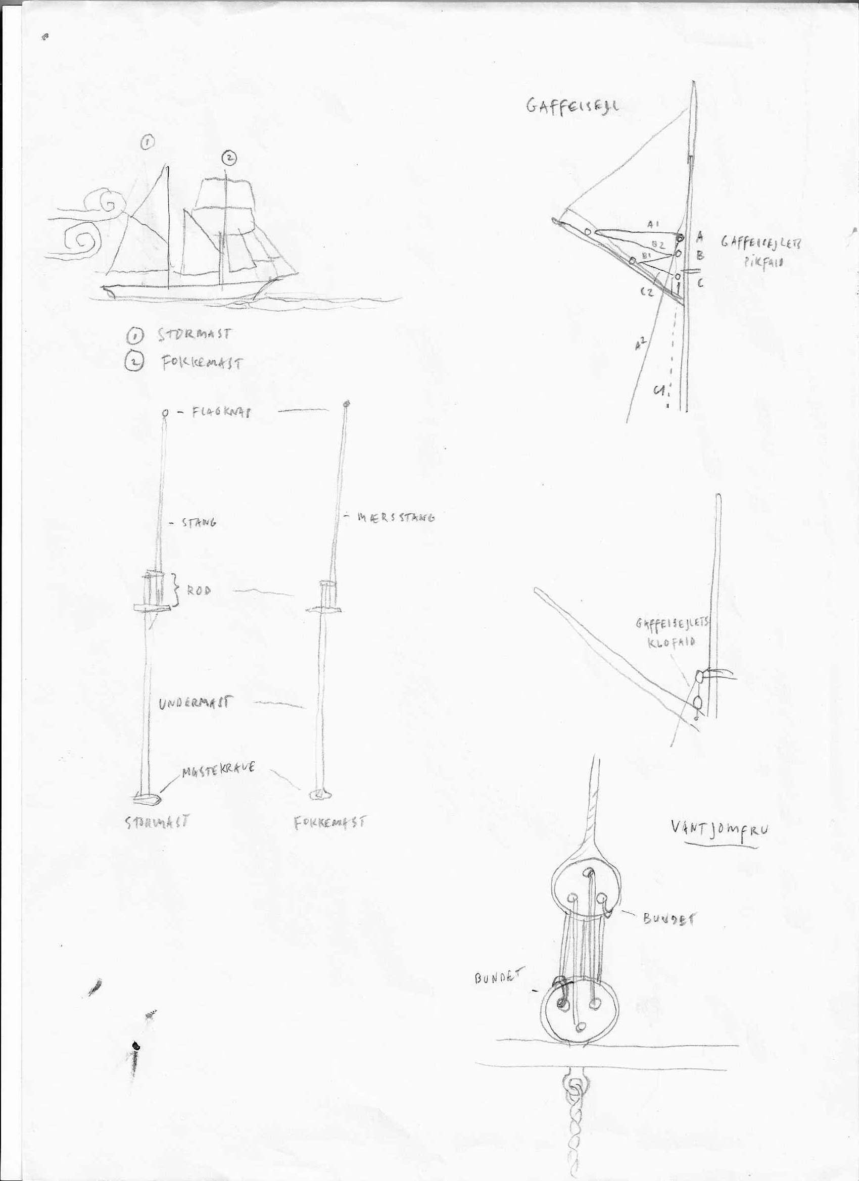 flora_illustration_8.jpg