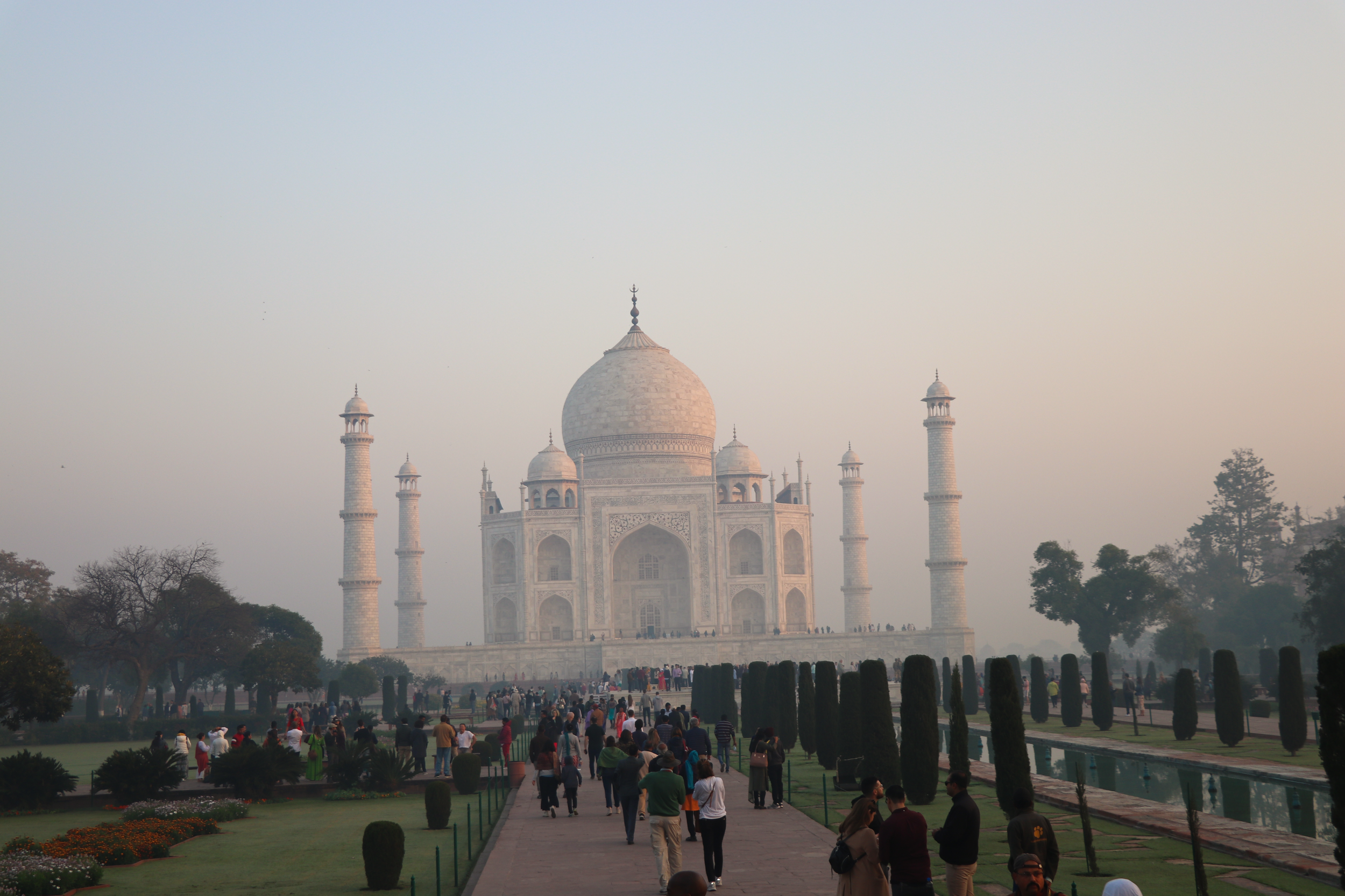 taj.png