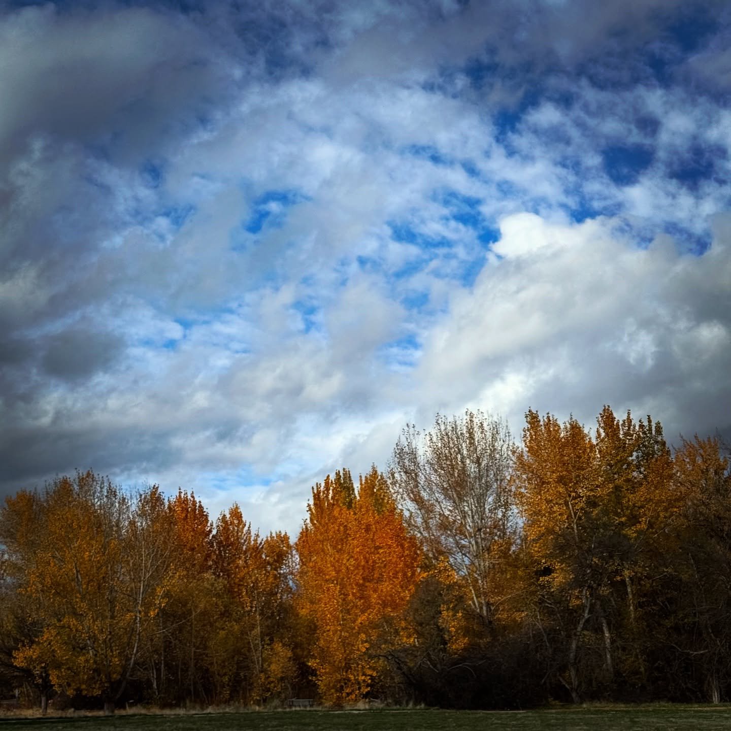 &ldquo;I&rsquo;m OK but aware of all the things that aren&rsquo;t.&rdquo; &mdash;Rebecca Solnit