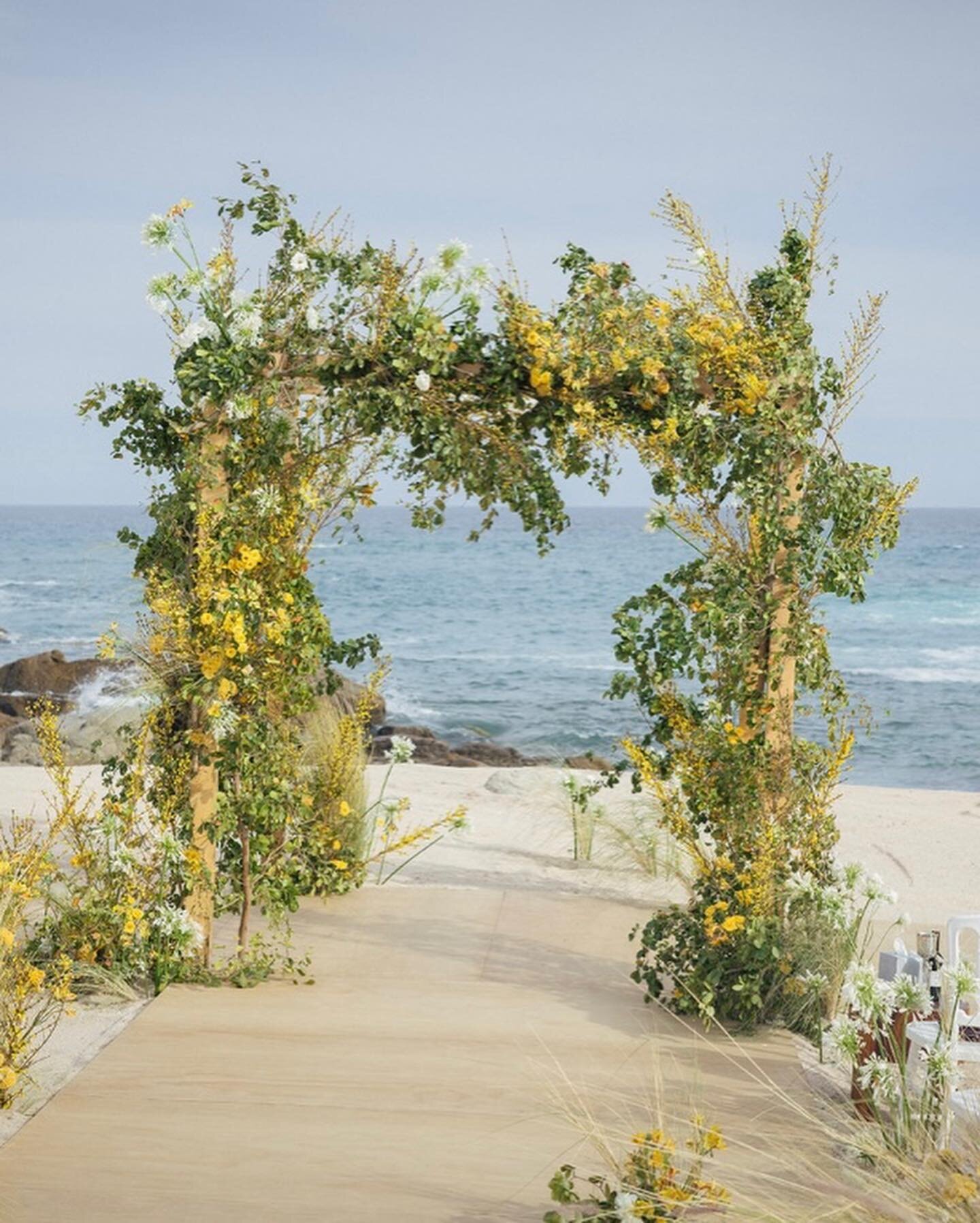 Some more pics from our recent Cabo wedding! Courtney and Mike tied the knot in a breathtaking ceremony overlooking the stunning Cabo coastline. It was an absolute dream. We had the pleasure of creating the signage, programs, and vows booklet for the