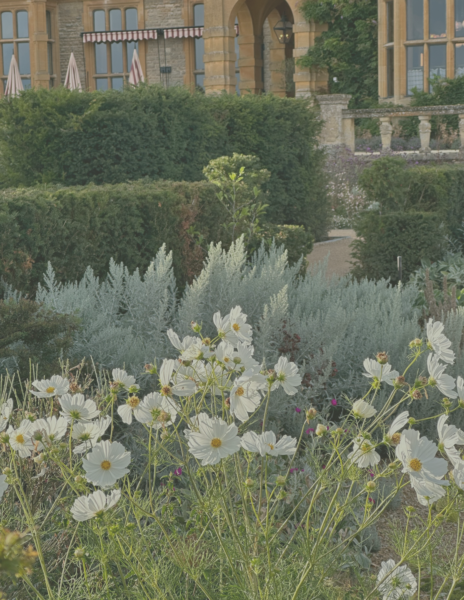 8.24-8.29 1 spot open