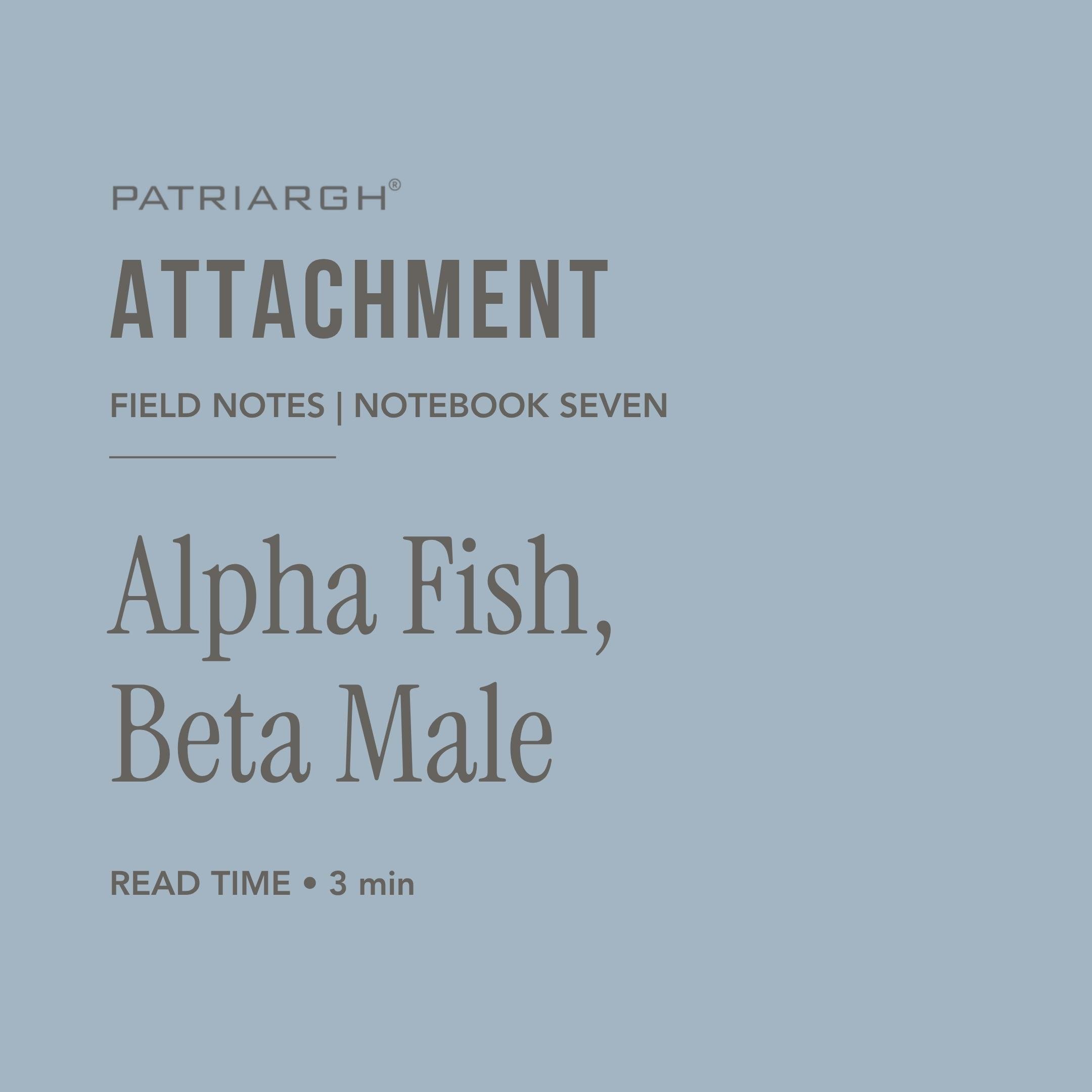 Cover page of a notebook titled 'Patriarch Attachment', part of a field notes or notebook series, with additional text about reading time of 3 minutes and highlighting the Latin name 'Alpheus Fish'.
