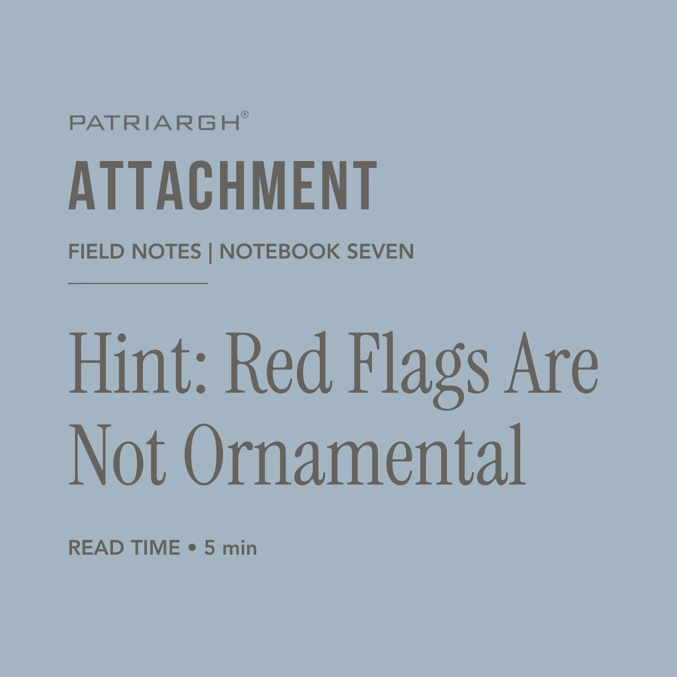 Book cover titled 'Patriarchy Attachment: Field Notes | Notebook Seven' with additional text indicating a 5-minute read and a hint that red flags are discussed.