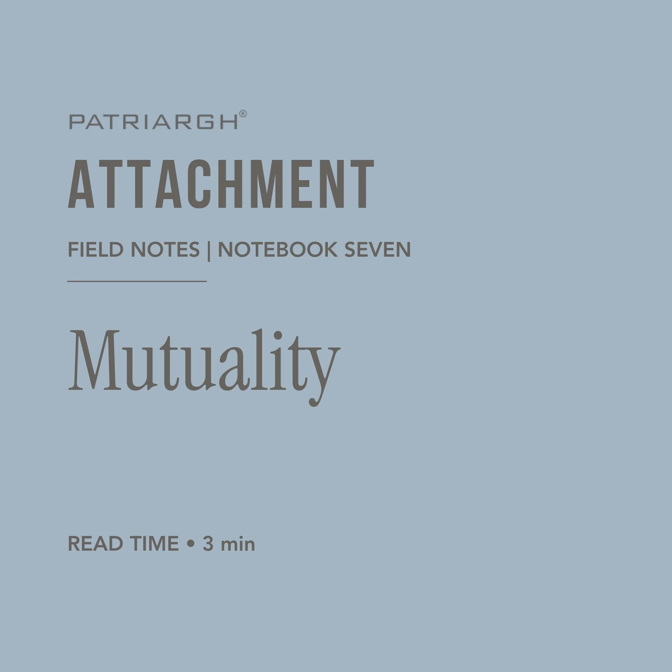 Cover page of a workbook titled 'Patriarch Attachment' with subtitle 'Field Notes | Notebook Seven' on a light blue background