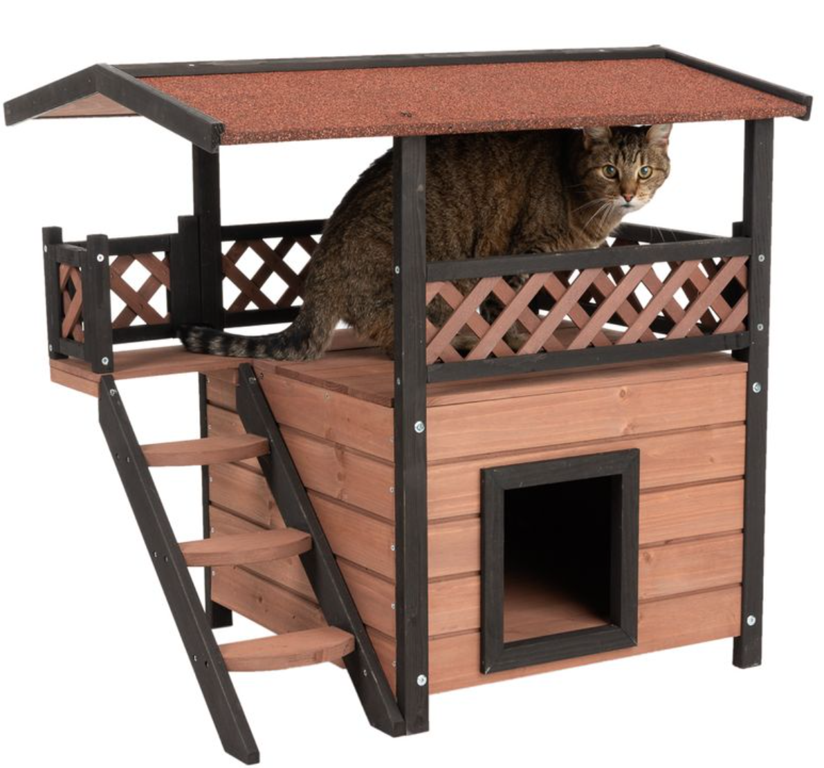 the top wooden outdoor cat houses to get in 2024 — Mad Katz Blog