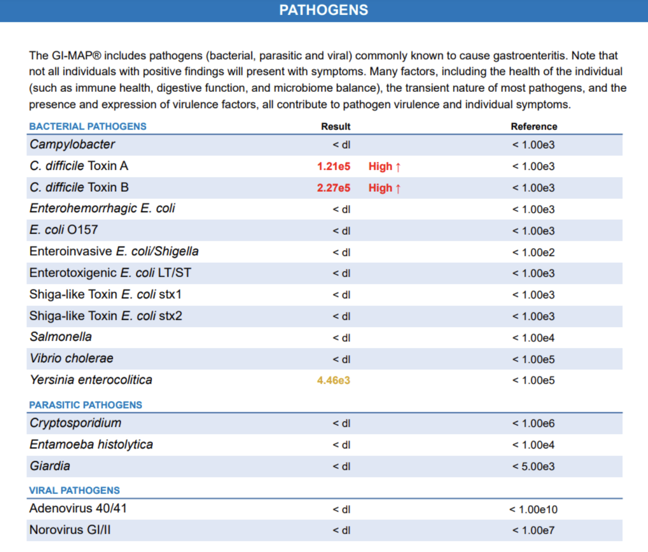 What does your functional stool test actually tell us? — Above Health ...