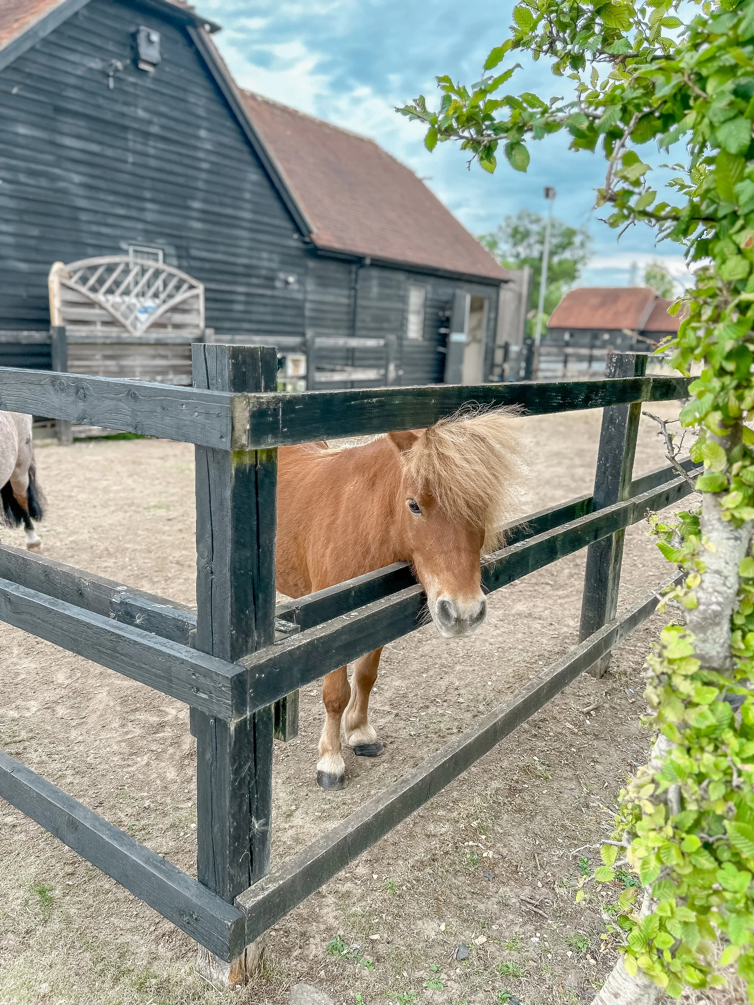 The UK Countryside to London: The Luxury Family Trip I Recommend More Than Almost Any Other