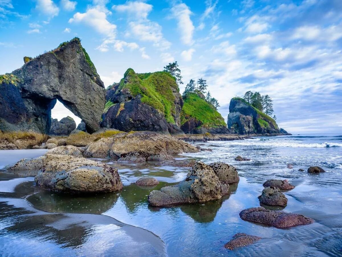 Shi Shi Beach in Olympic National Park, Washington, USA