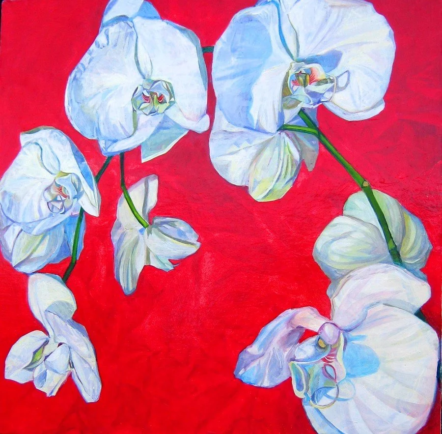 Orchid: Oil on Board