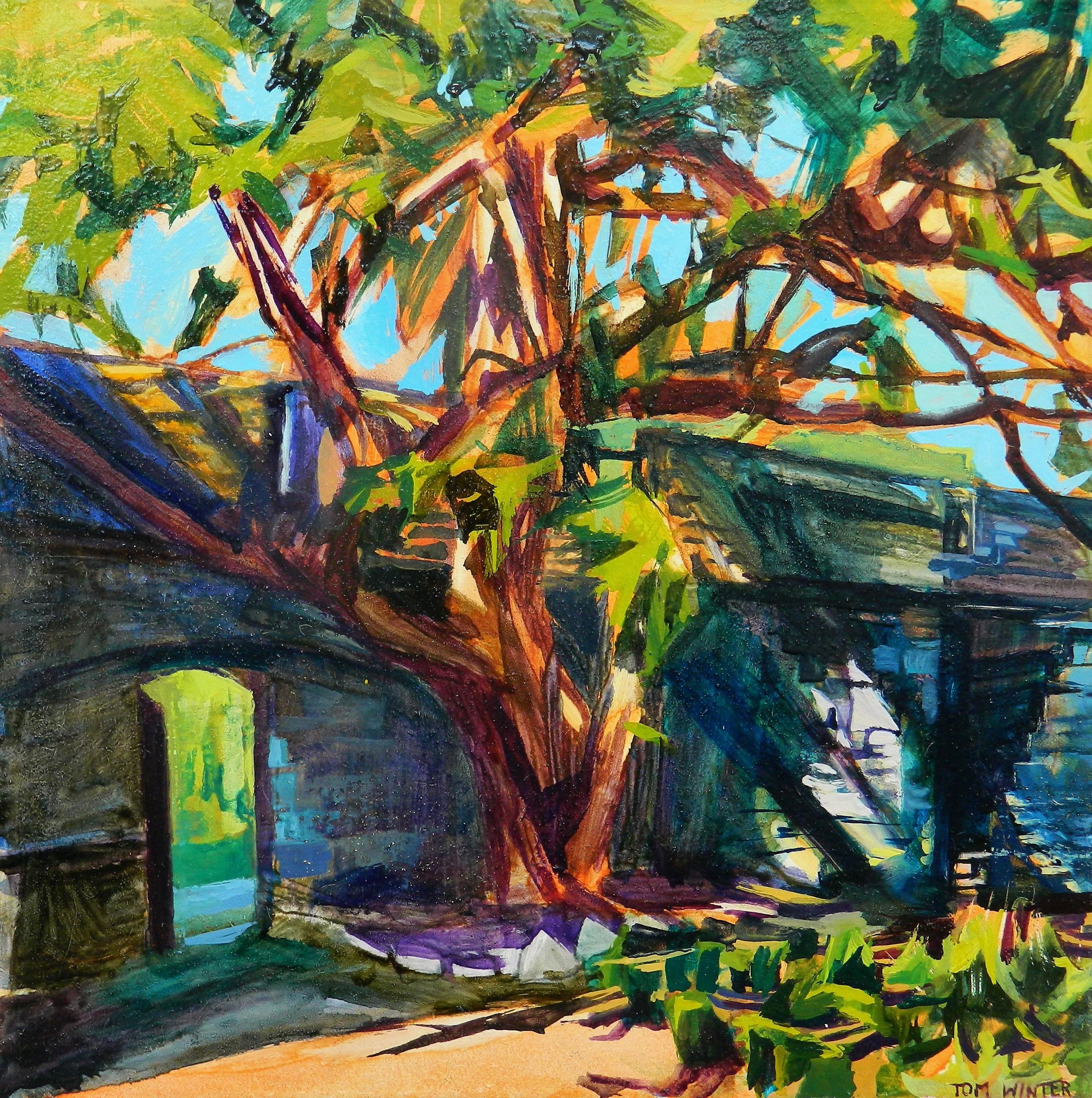 Tree & Shadows, Wells