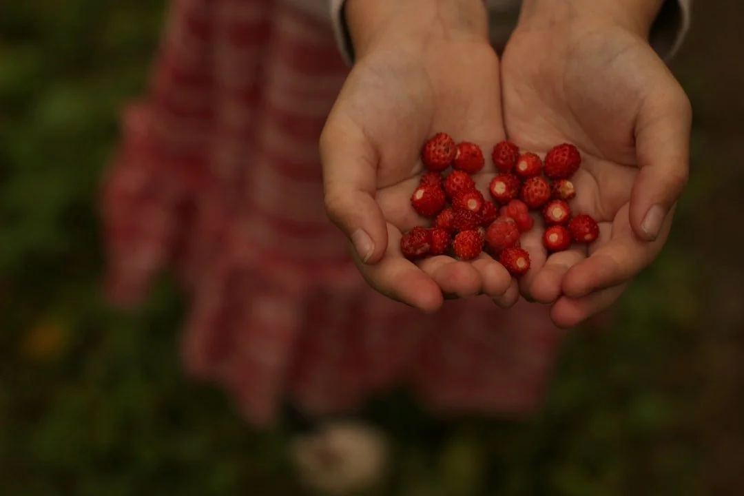 Credit: Mary She, Unsplash