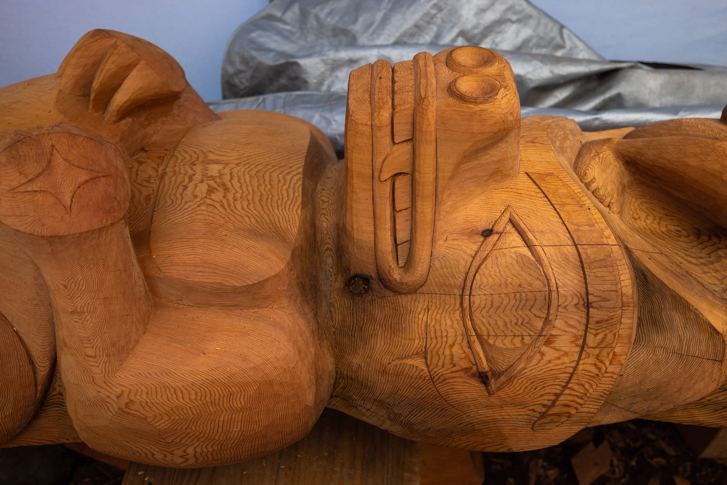 Copy of 5N1A7627.jpg