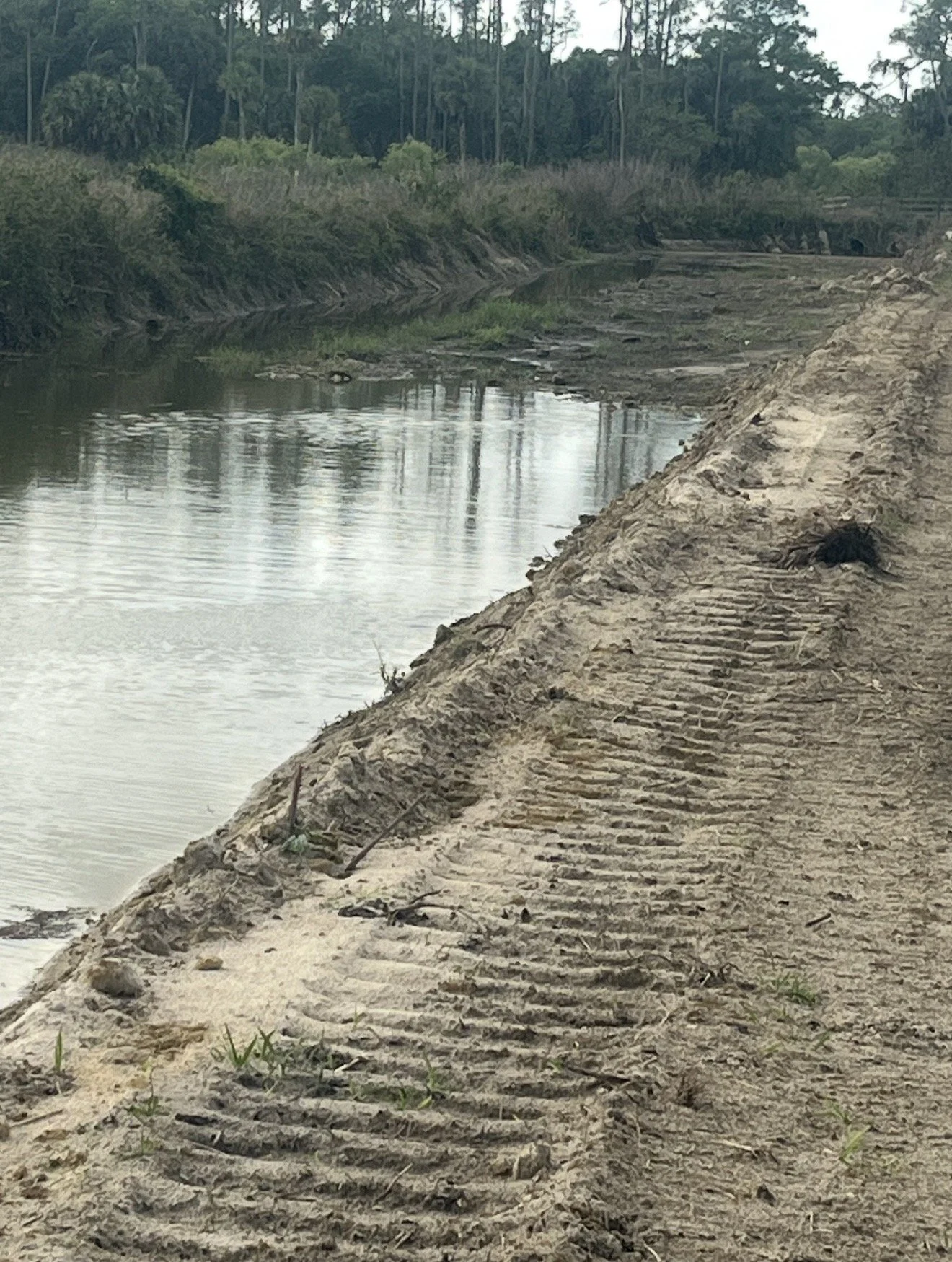 A sandy riverbank with tire tracks, a narrow river, and dense green foliage in the background.