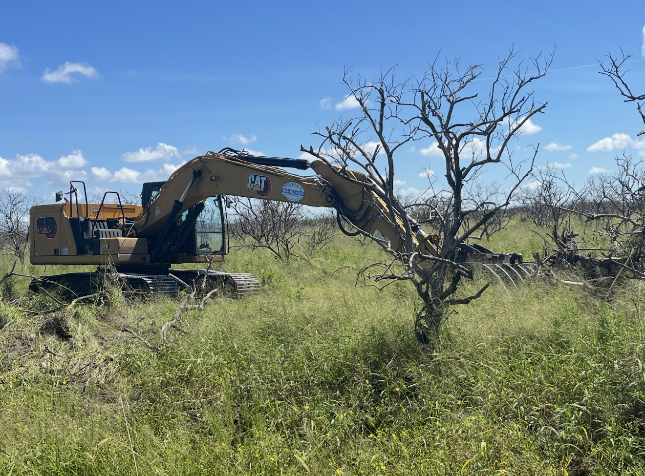 A large yellow CAT excavator working in a grassy field with leafless trees under a blue sky.