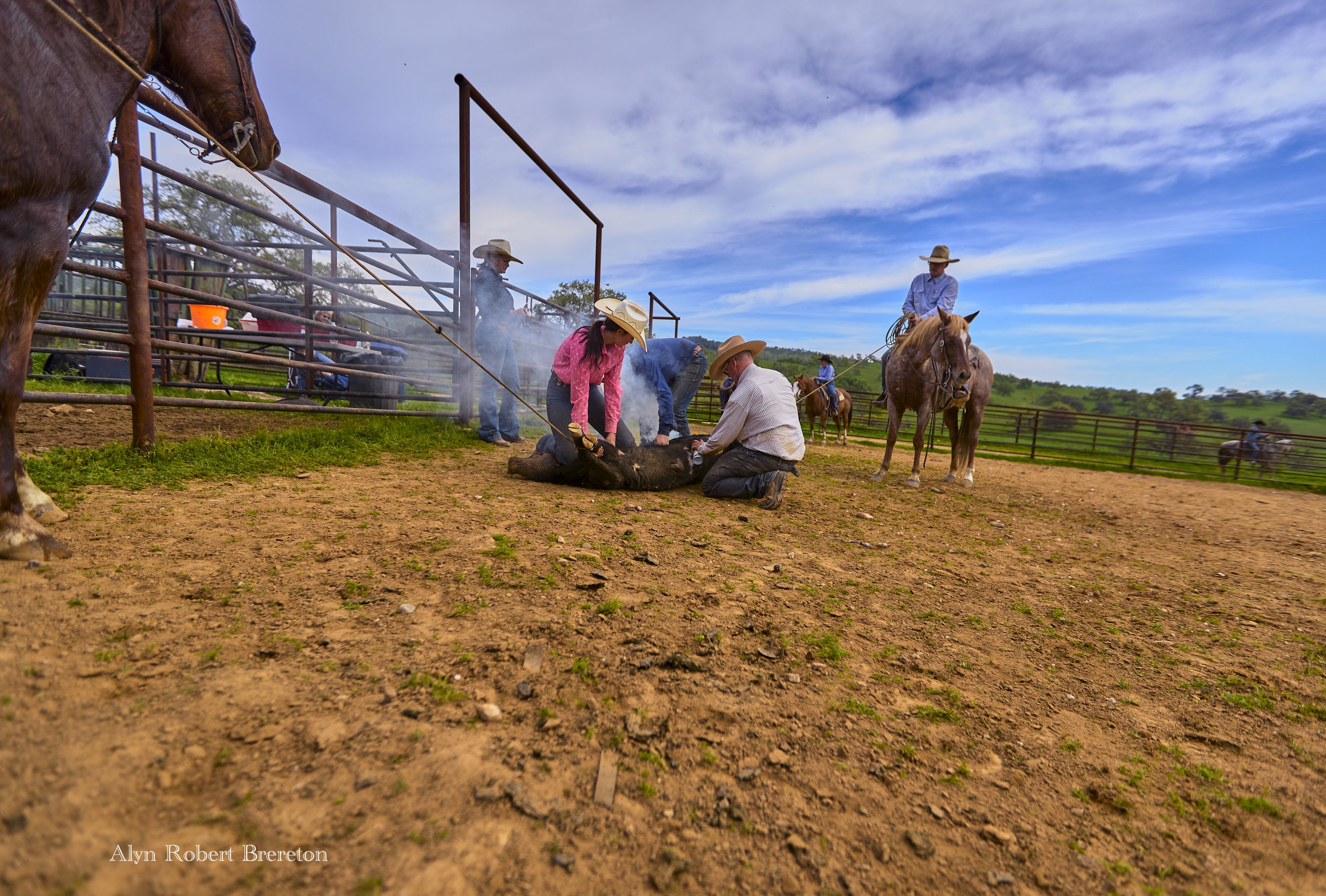 Alyn Robert Brereton 35.jpg