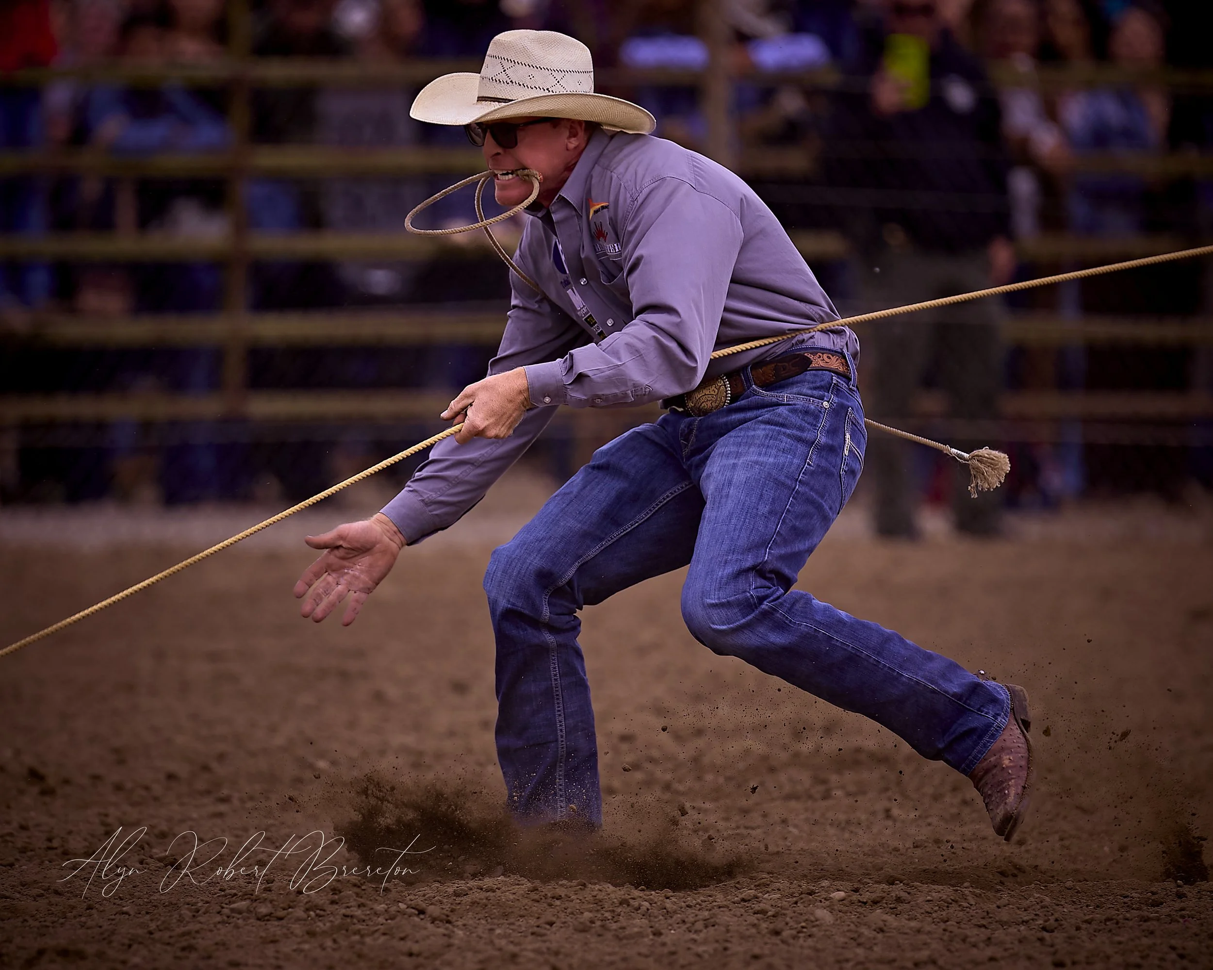 Alyn Robert Brereton 12.jpg