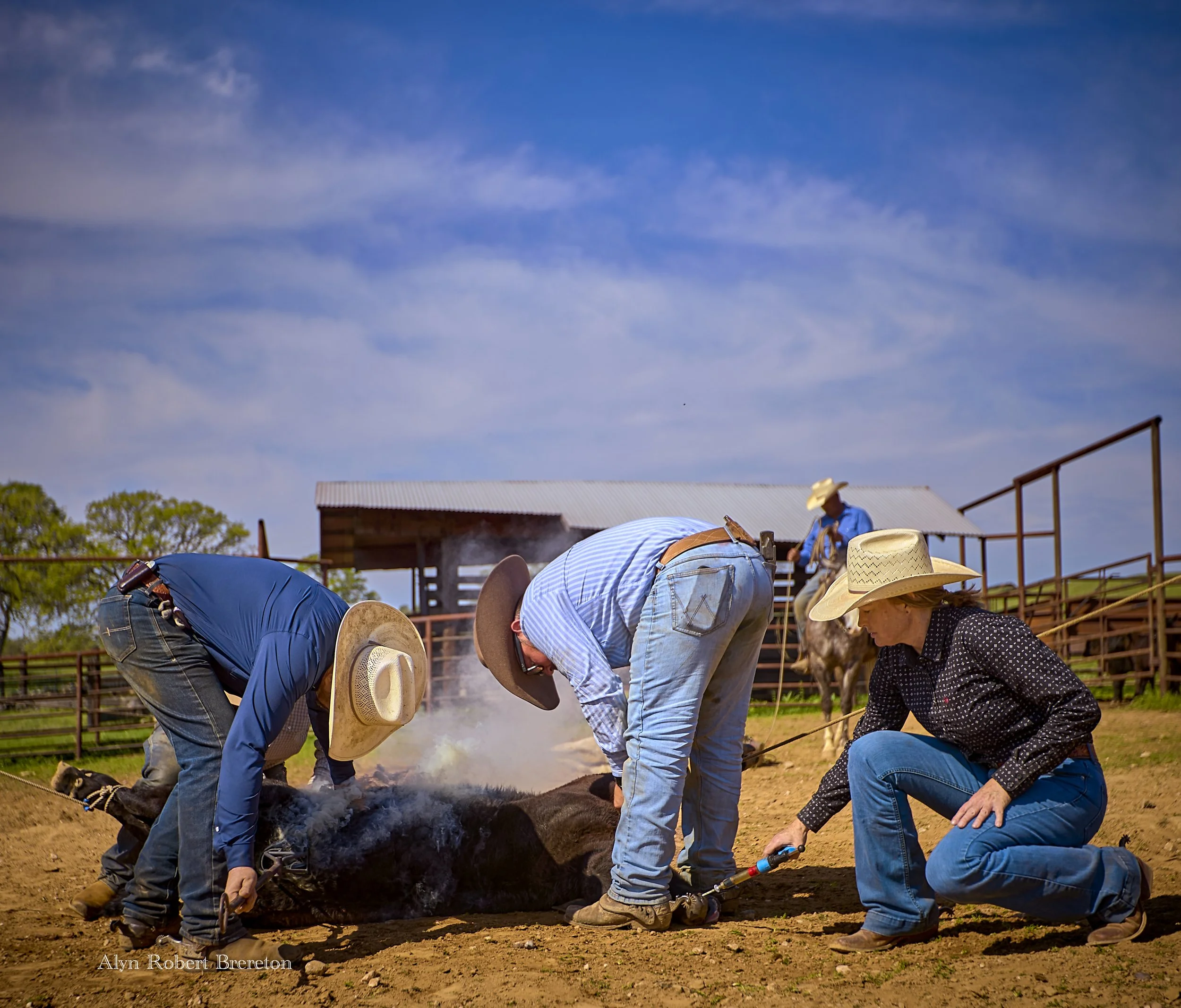 Alyn Robert Brereton 15.jpg