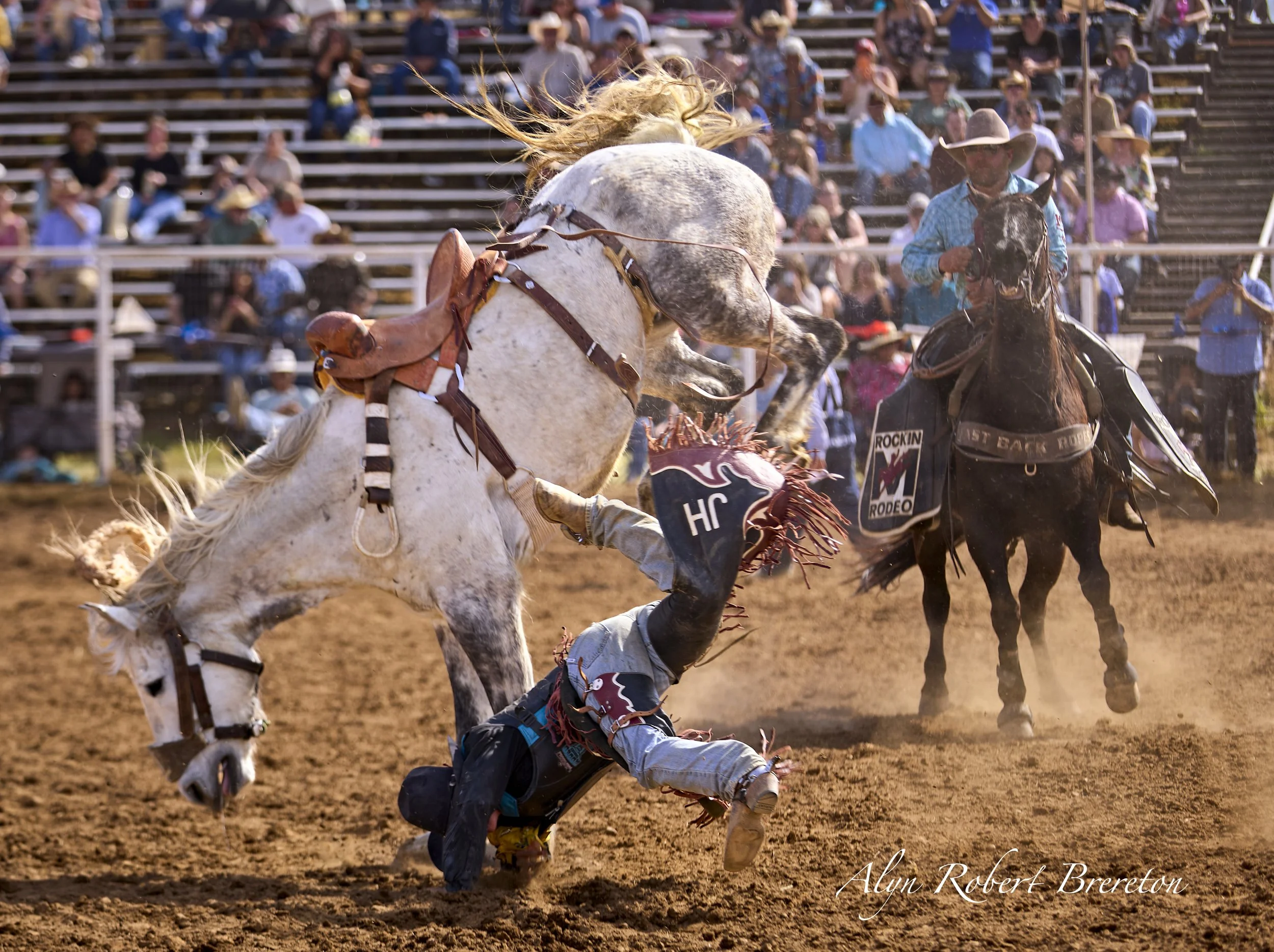 Alyn Robert Brereton 28.jpg