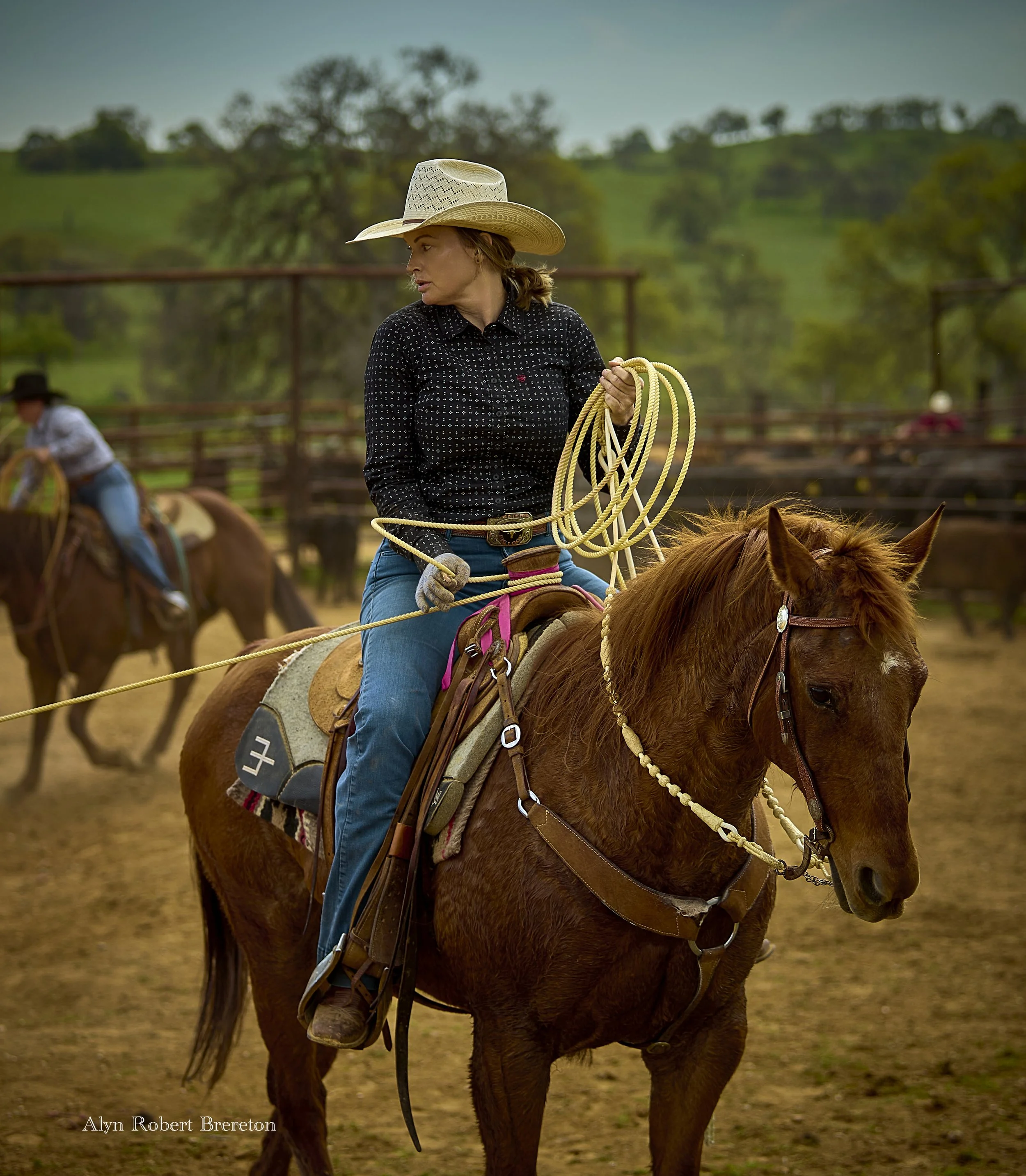 Alyn Robert Brereton 17.jpg