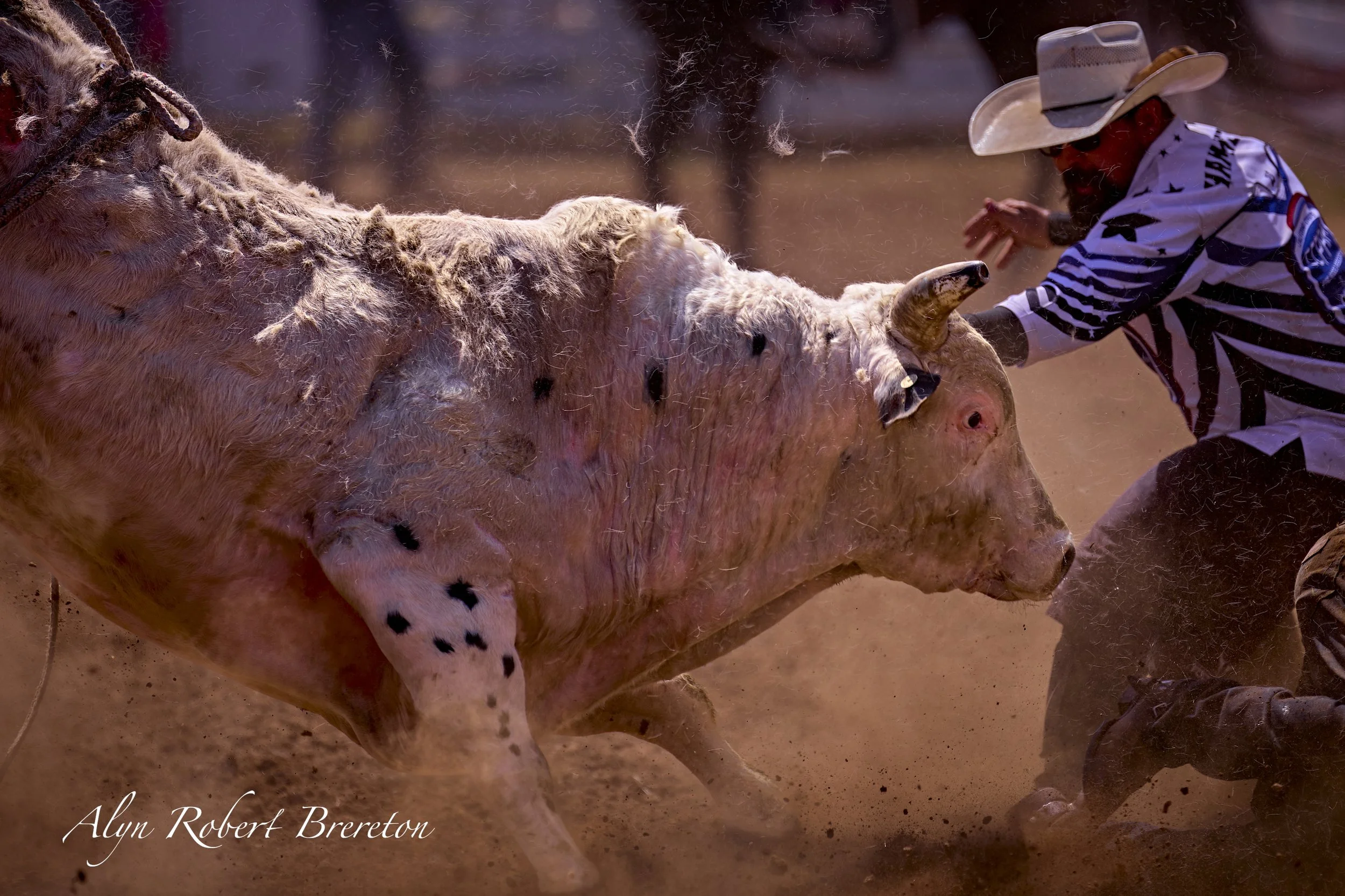 Alyn Robert Brereton 7.jpg