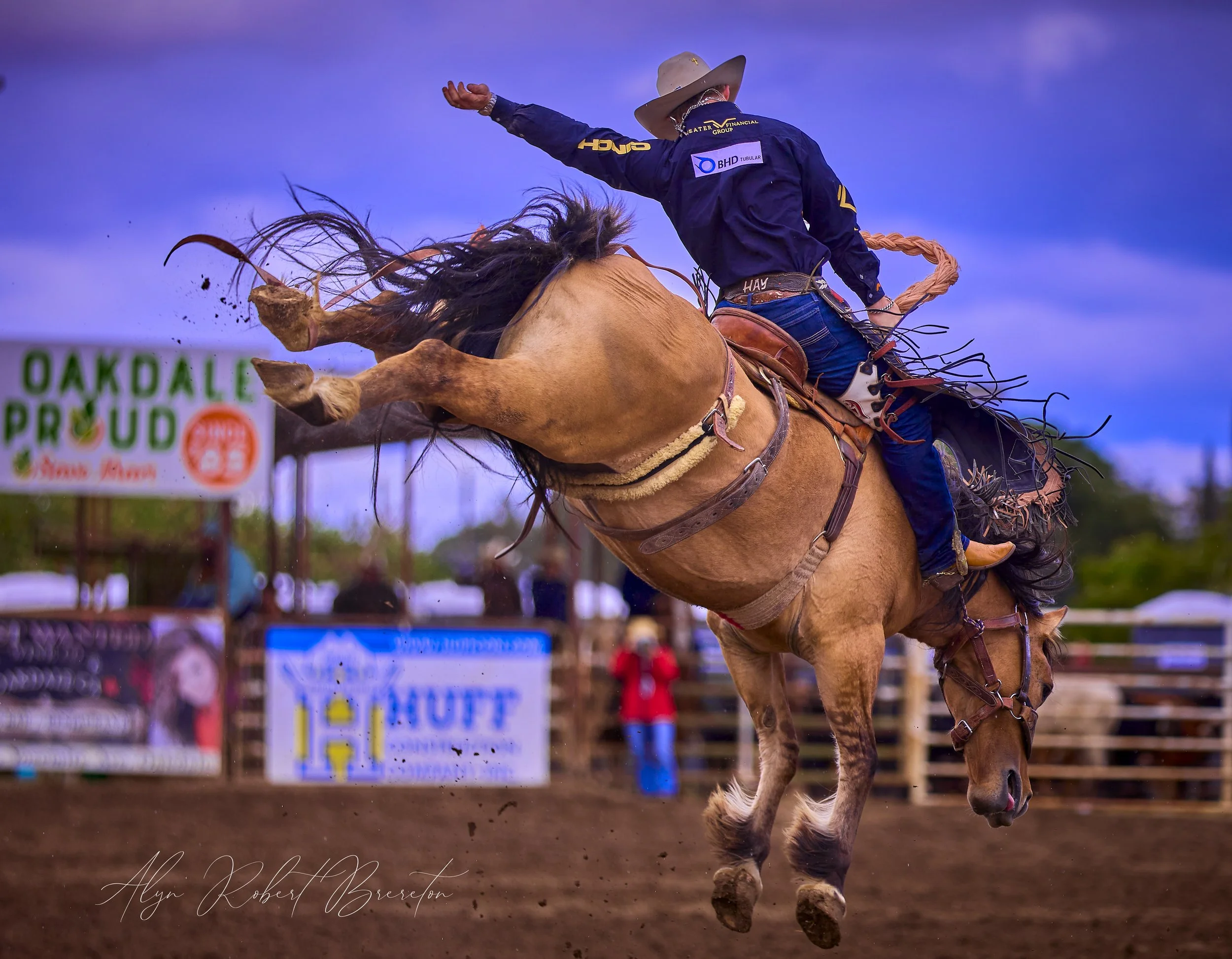 Alyn Robert Brereton 46.jpg